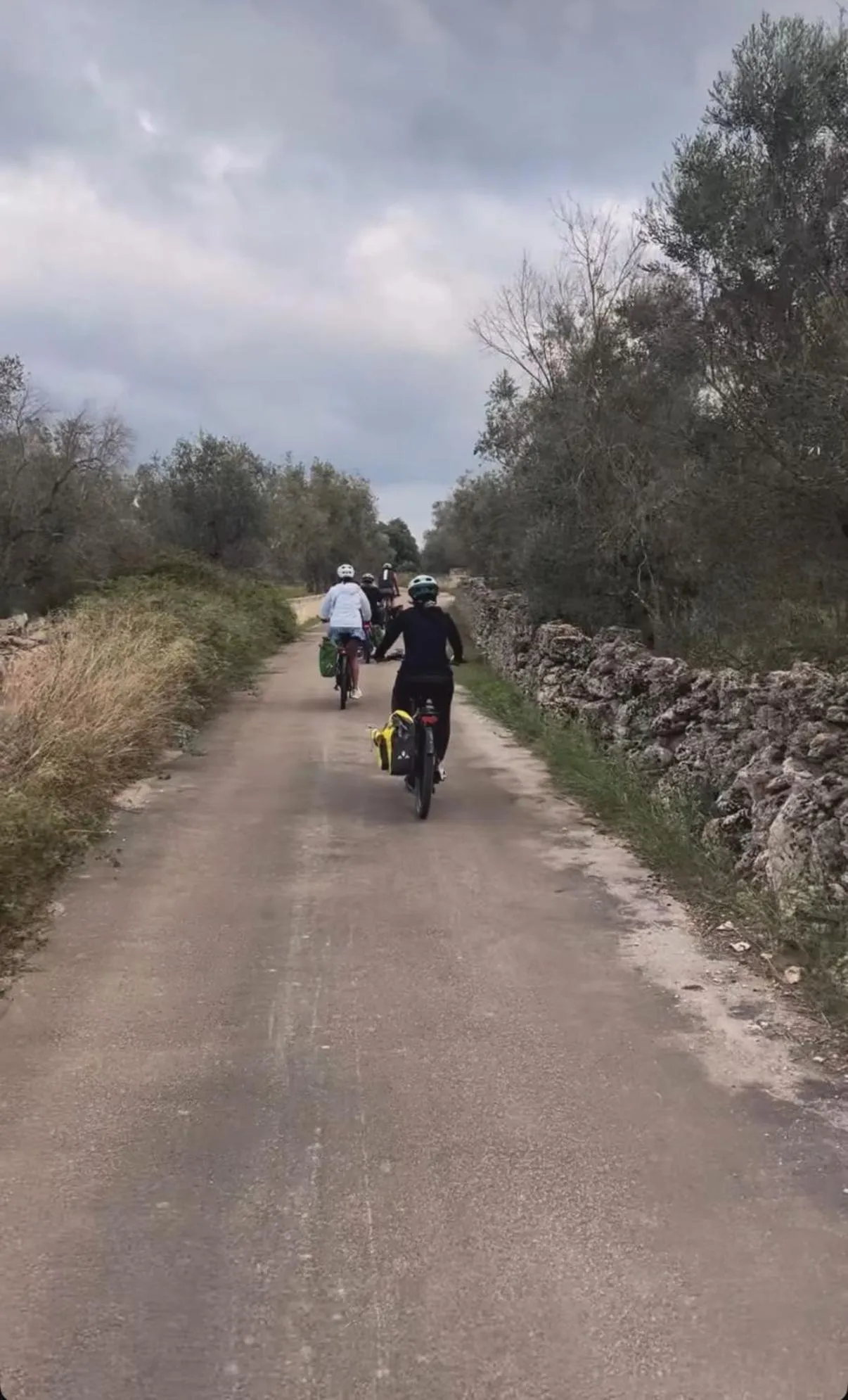 Tenuta Masseria & Spa Chicco Rizzo