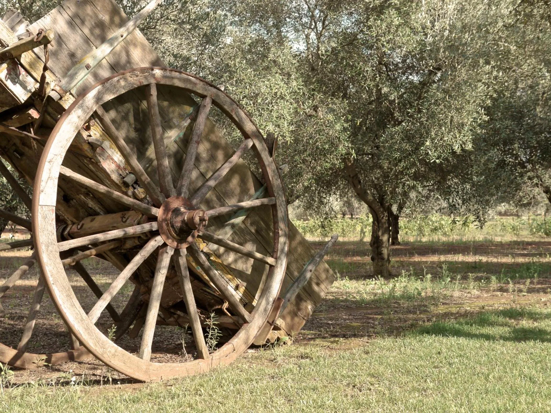 Decorative detail in Tenuta Masseria & Spa Chicco Rizzo