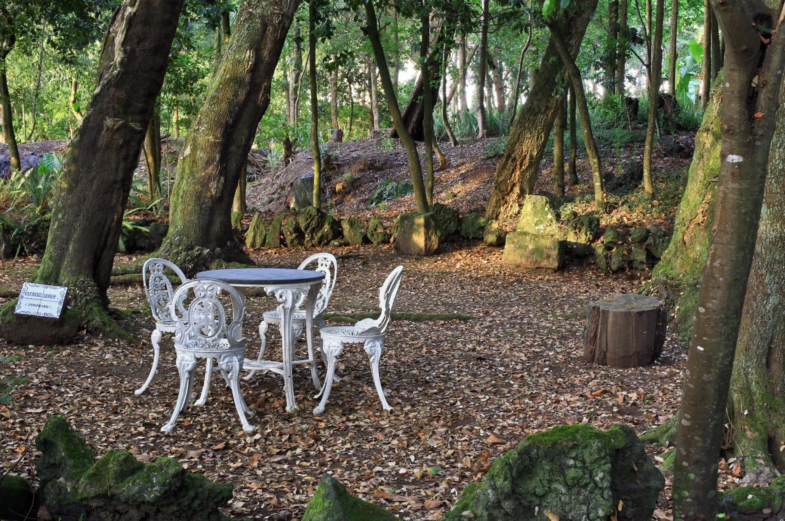Garden in Solar Do Conde Garden Hotel