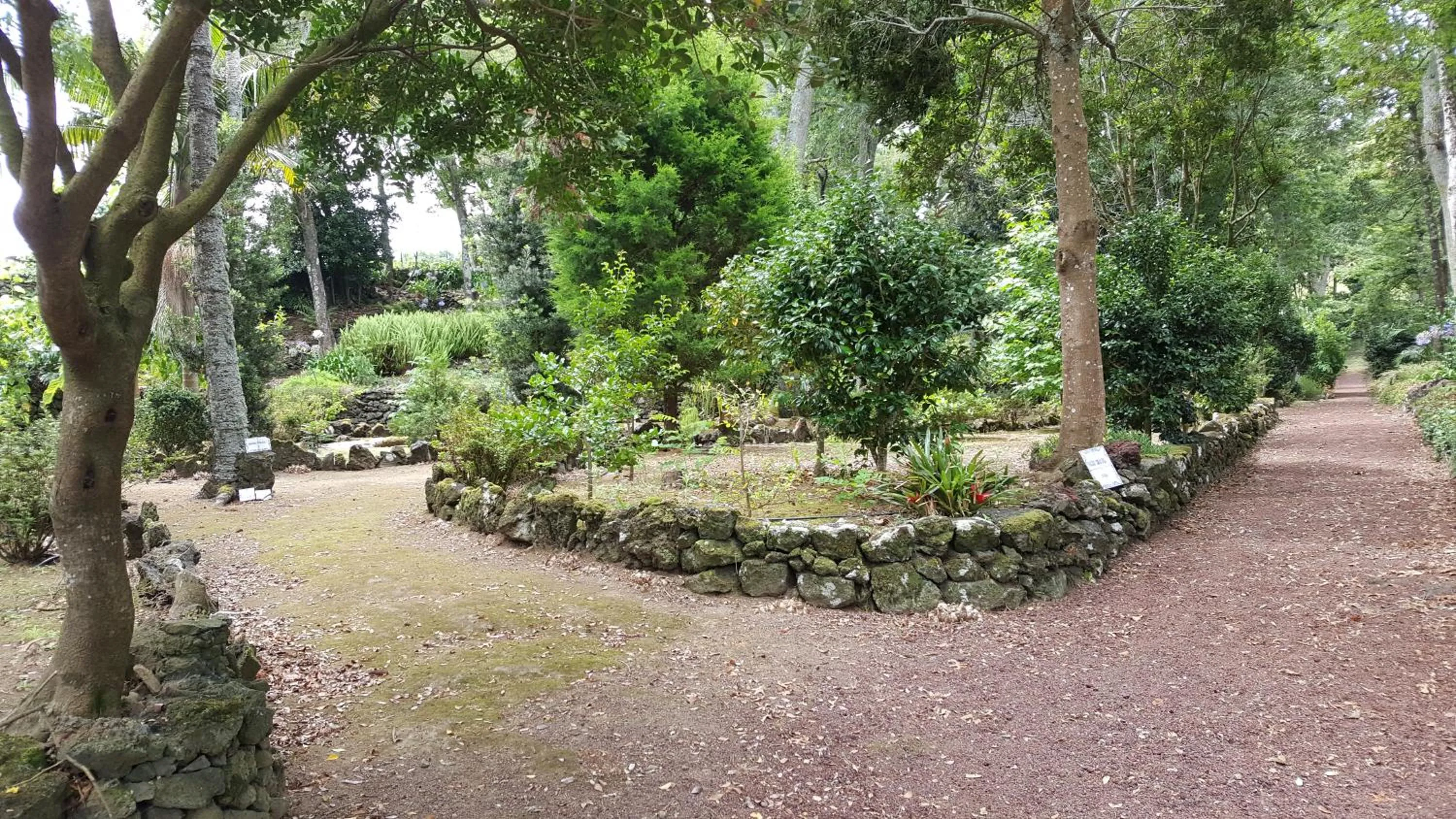 Garden in Solar Do Conde Garden Hotel