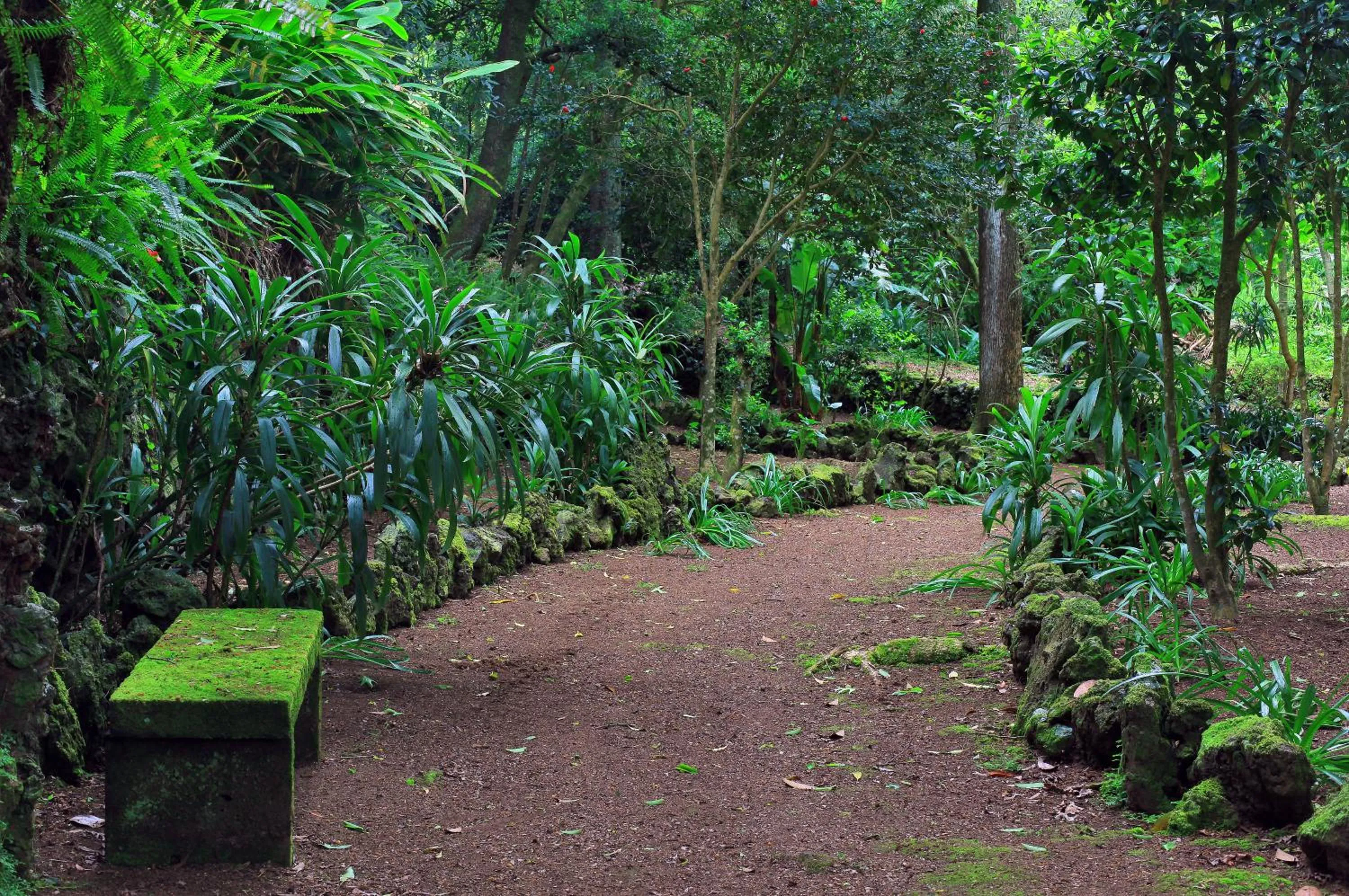 Garden in Solar Do Conde Garden Hotel
