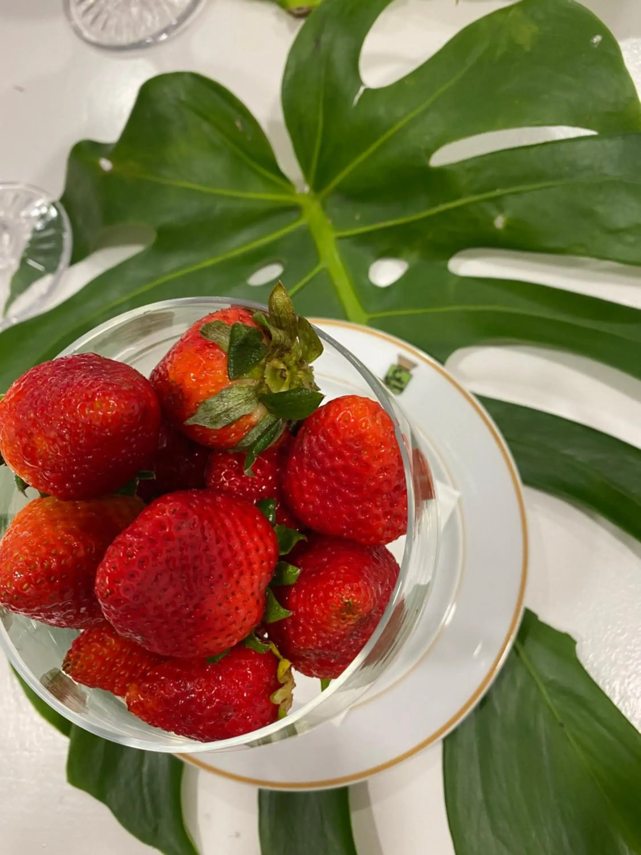 Food in Solar Do Conde Garden Hotel Food in Solar Do Conde Garden Hotel