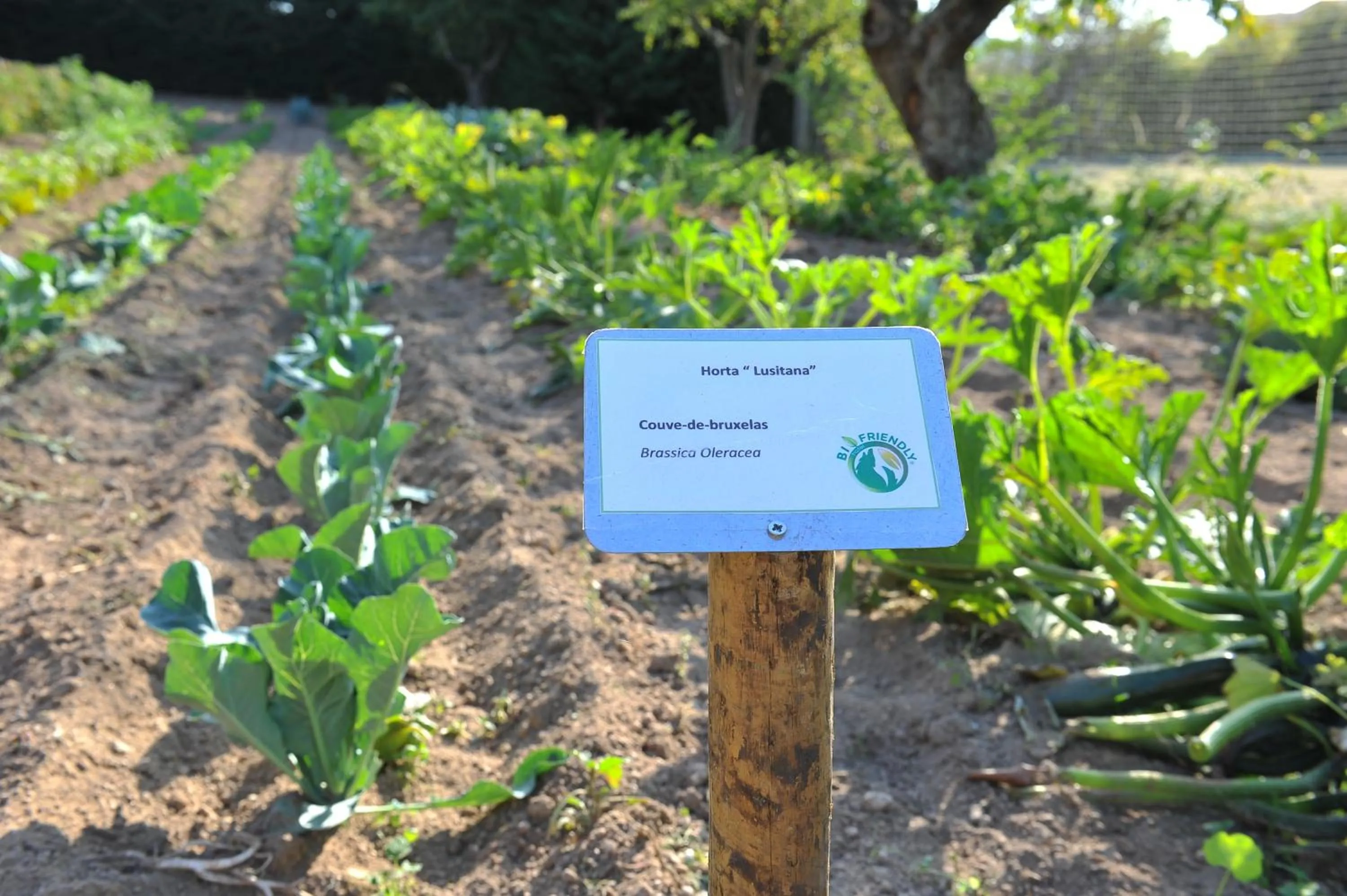 Facade/entrance in Hotel Lusitania Congress & Spa