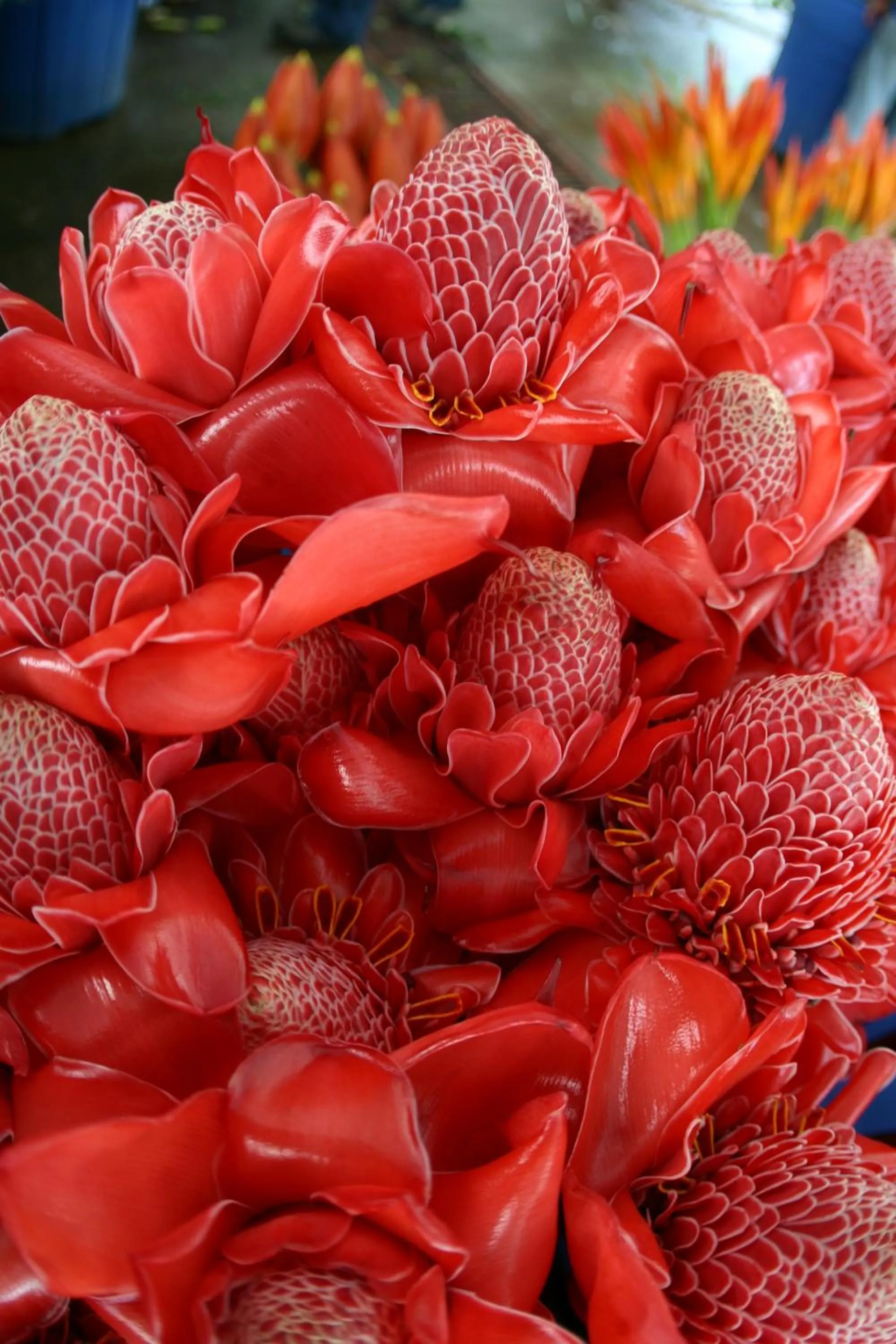 Off site in Argovia Ecolodge