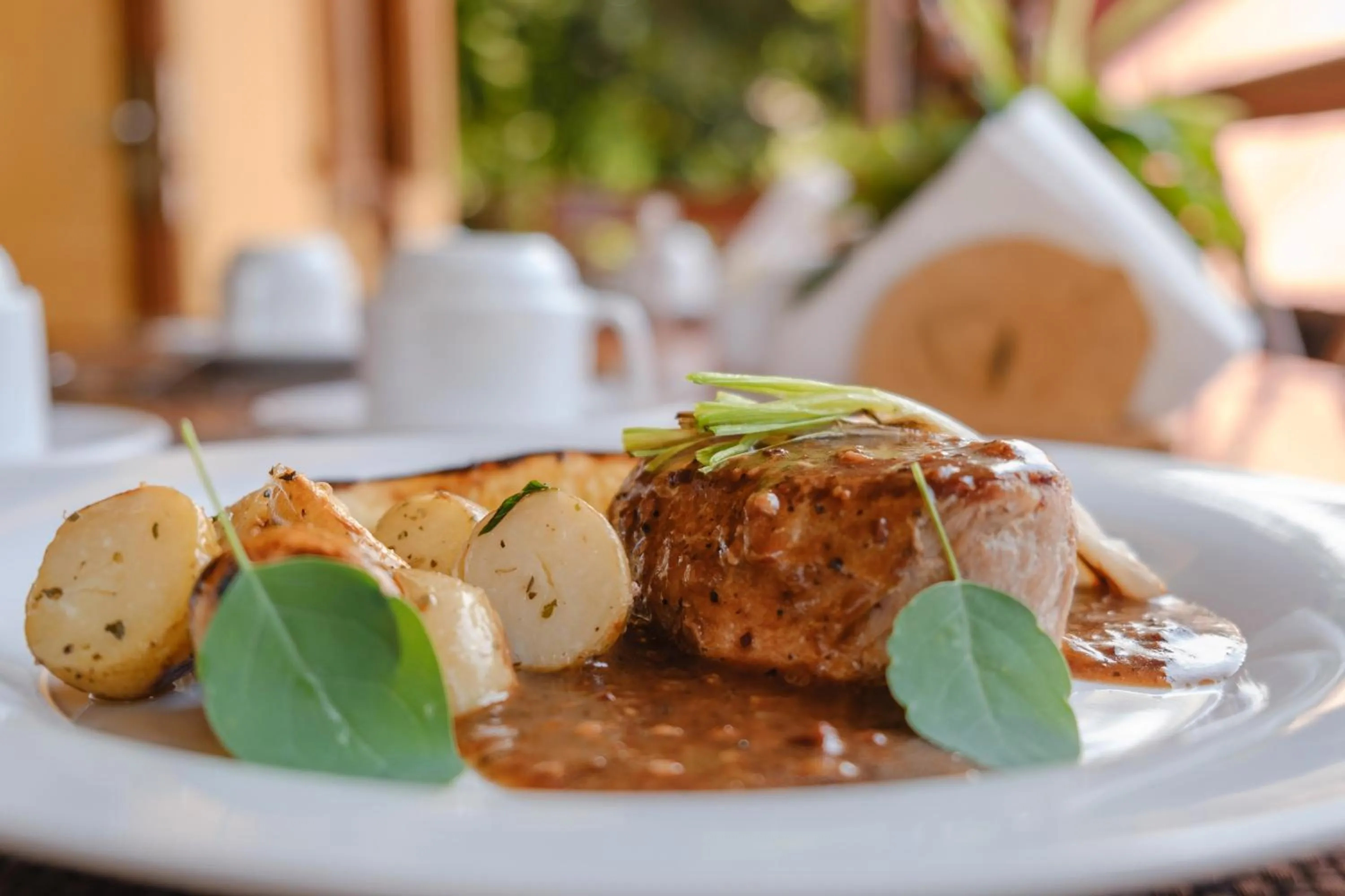 Food and drinks in Argovia Ecolodge