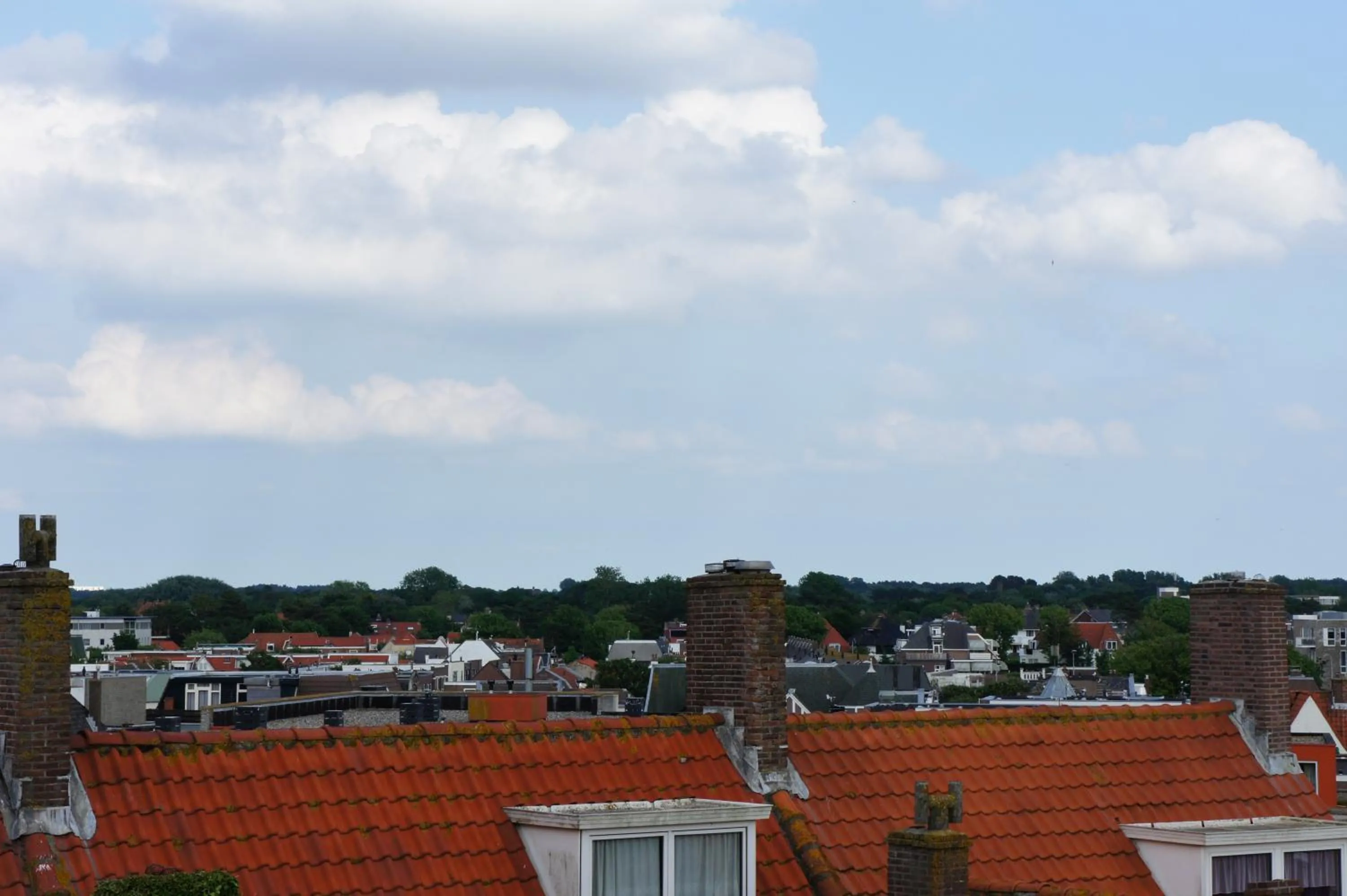 Day in Divi Divi Zandvoort