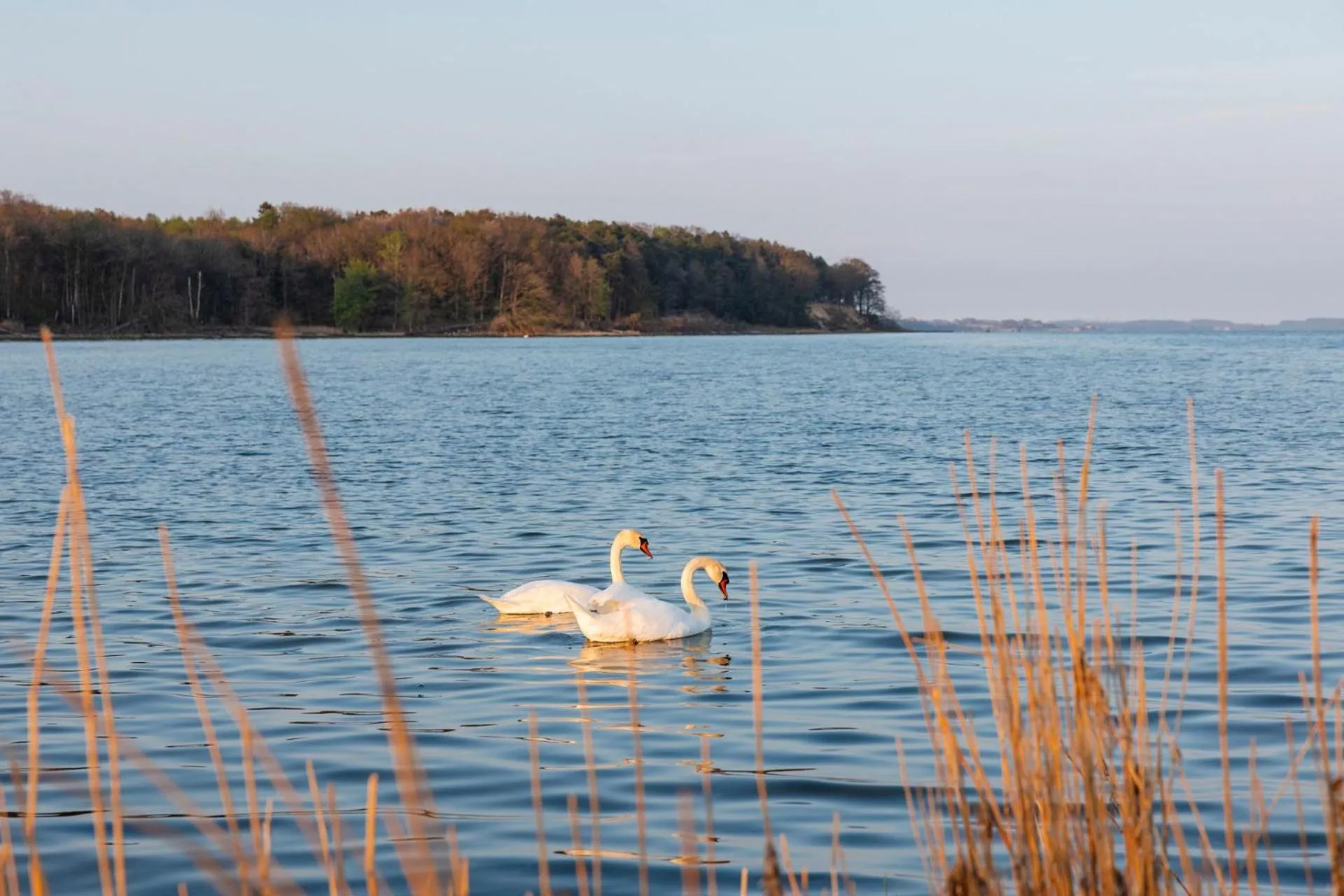 Area and facilities in Hotel Nautilus