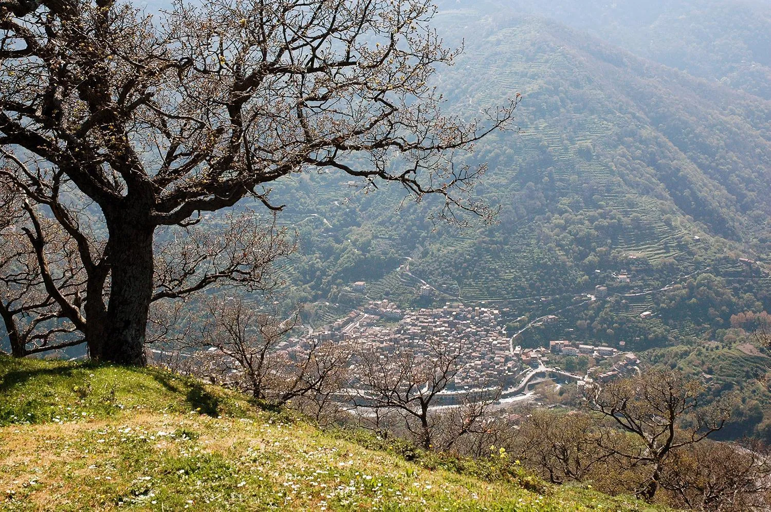 City view in Il Covo dei Re