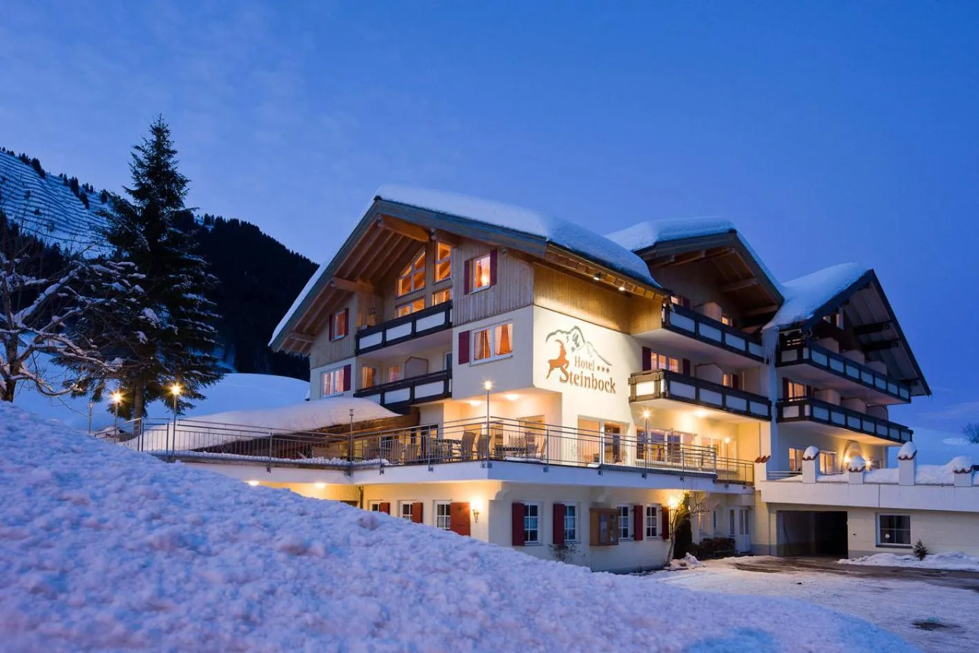 Hotel Steinbock