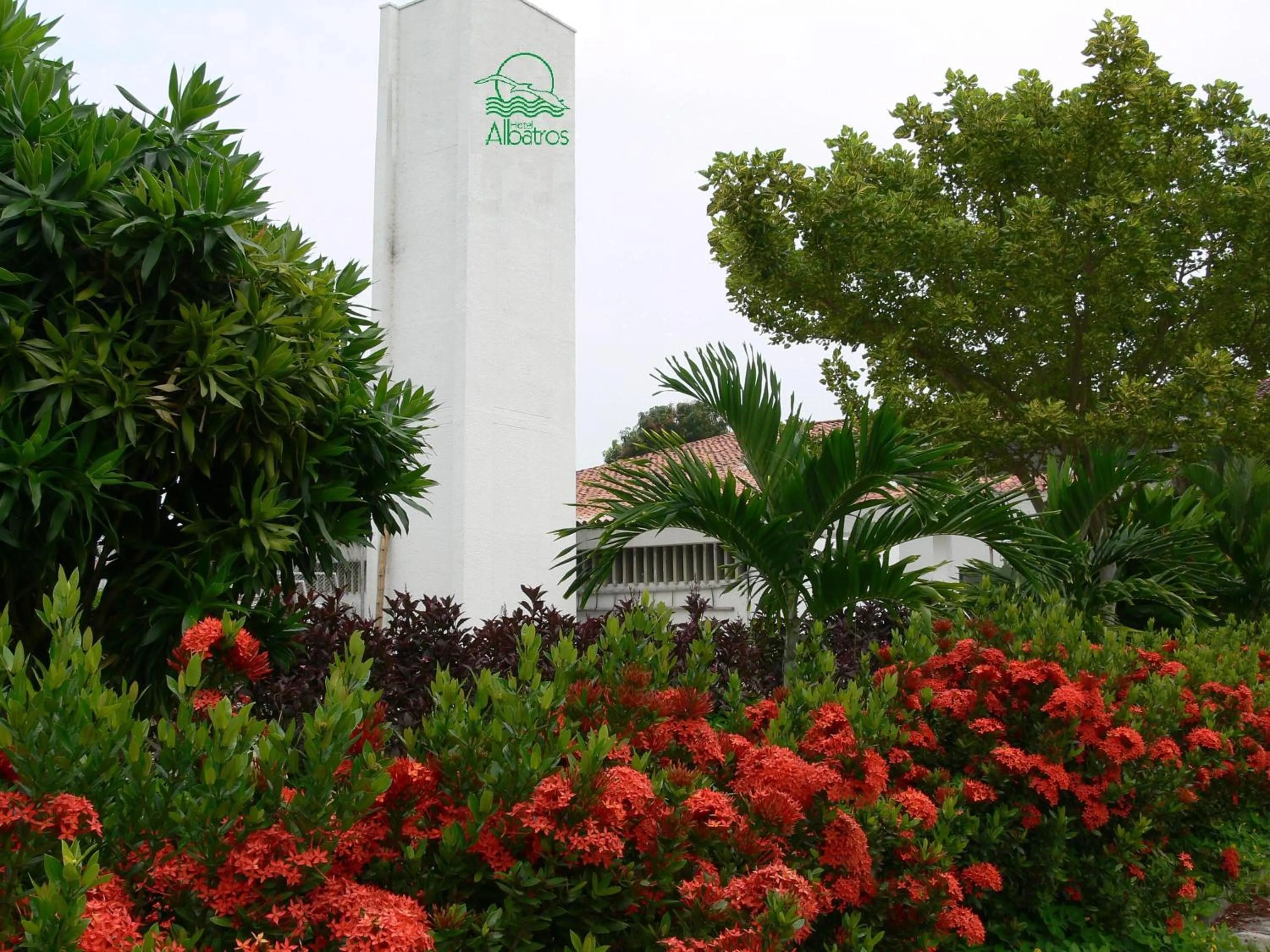 Garden view in Hotel Albatros