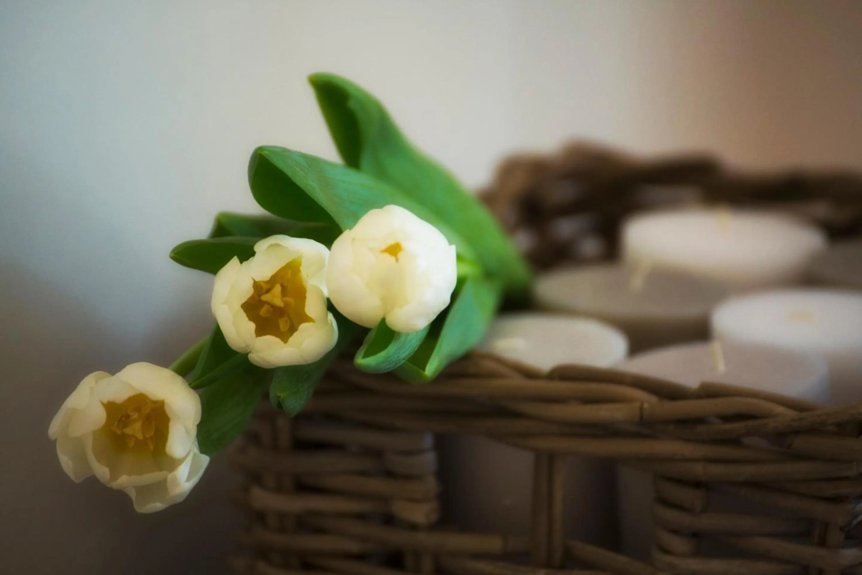 Convento San Bernardino