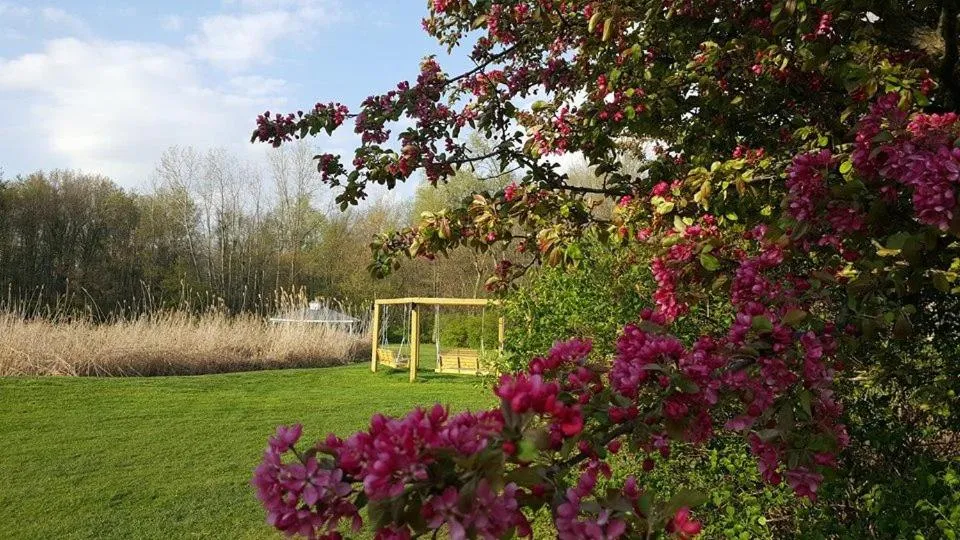 Property building in Brook Pointe Resort