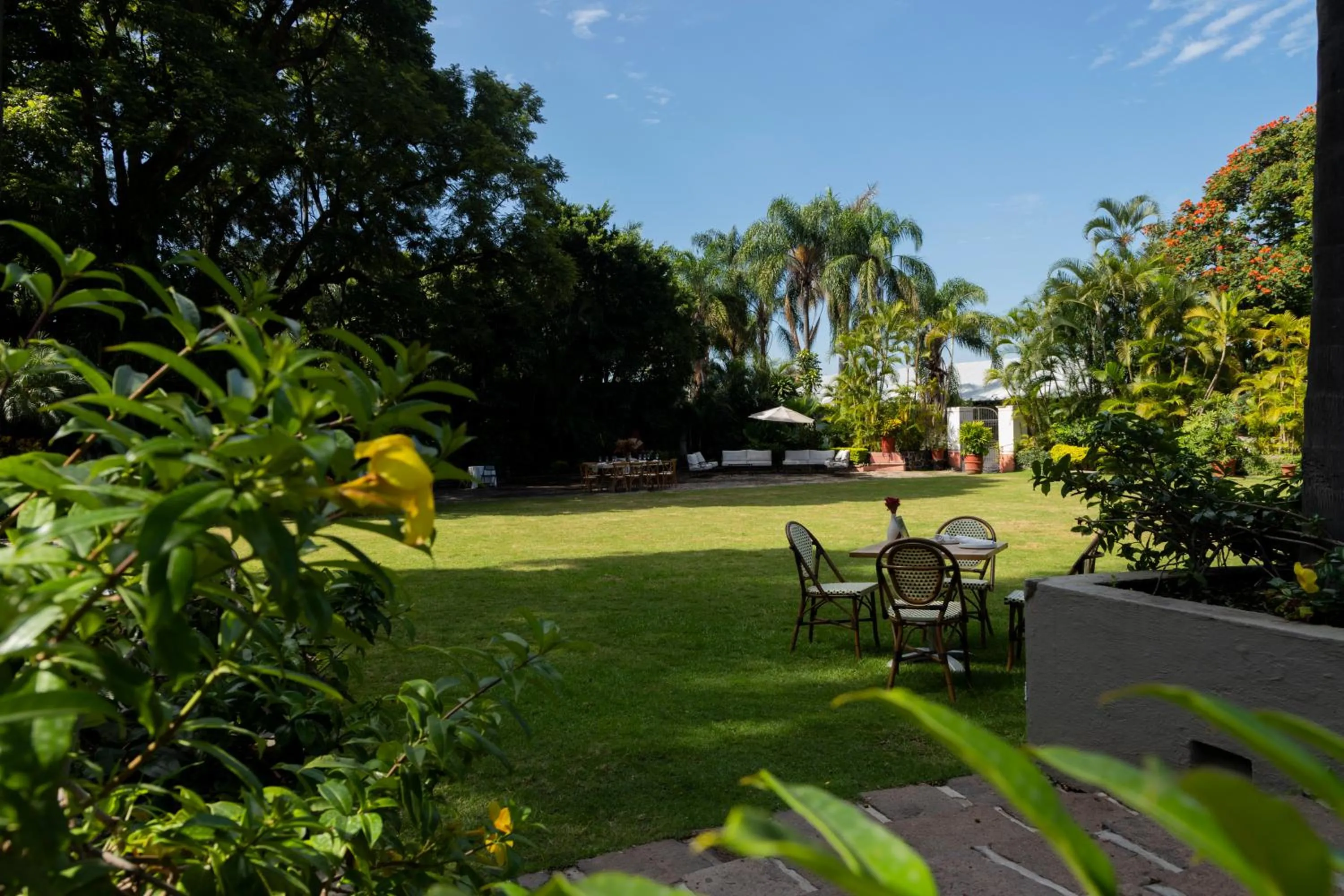Garden in Hotel Boutique Casa de Campo