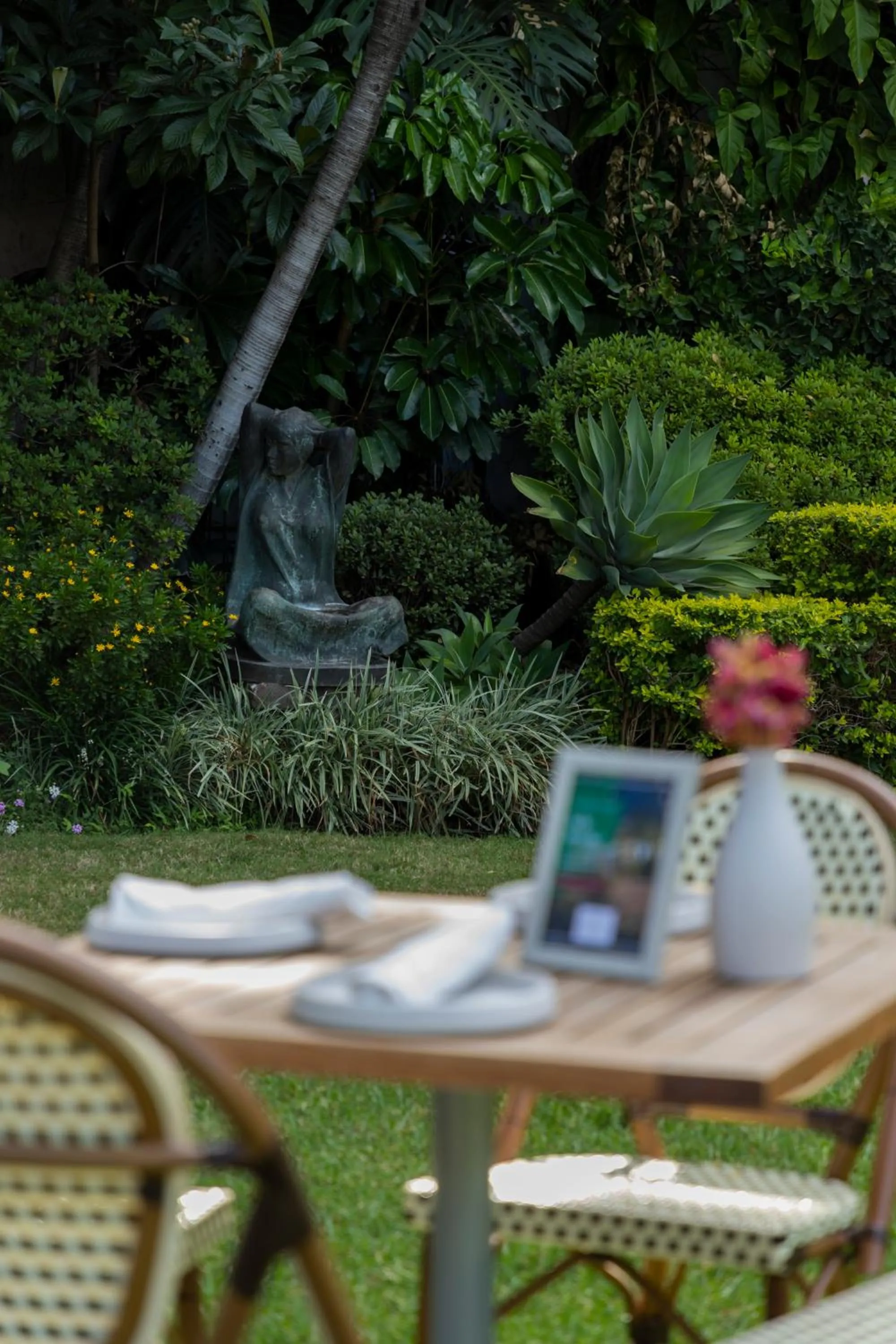 Garden in Hotel Boutique Casa de Campo