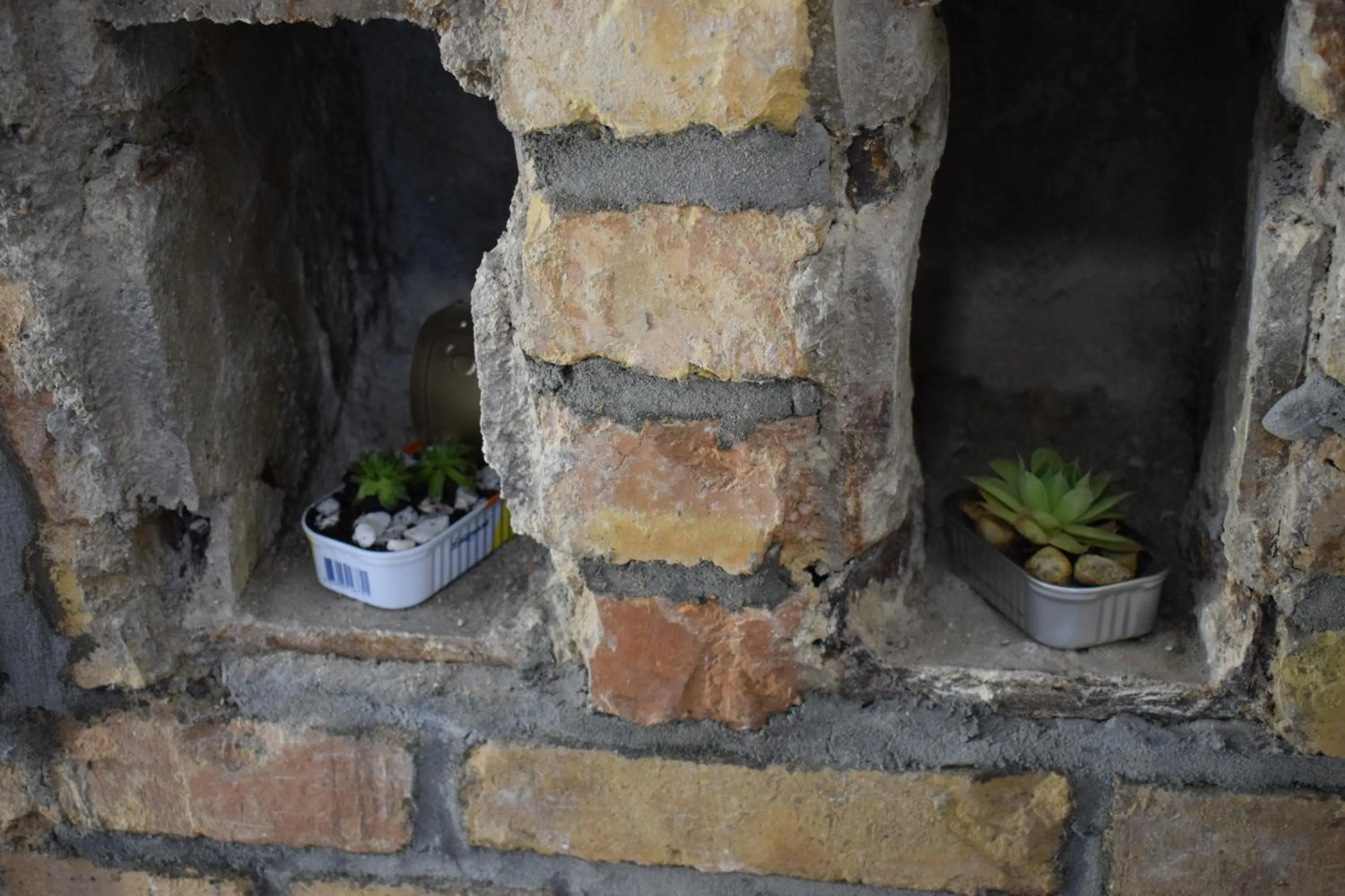 Decorative detail in Sobe Argo Izola