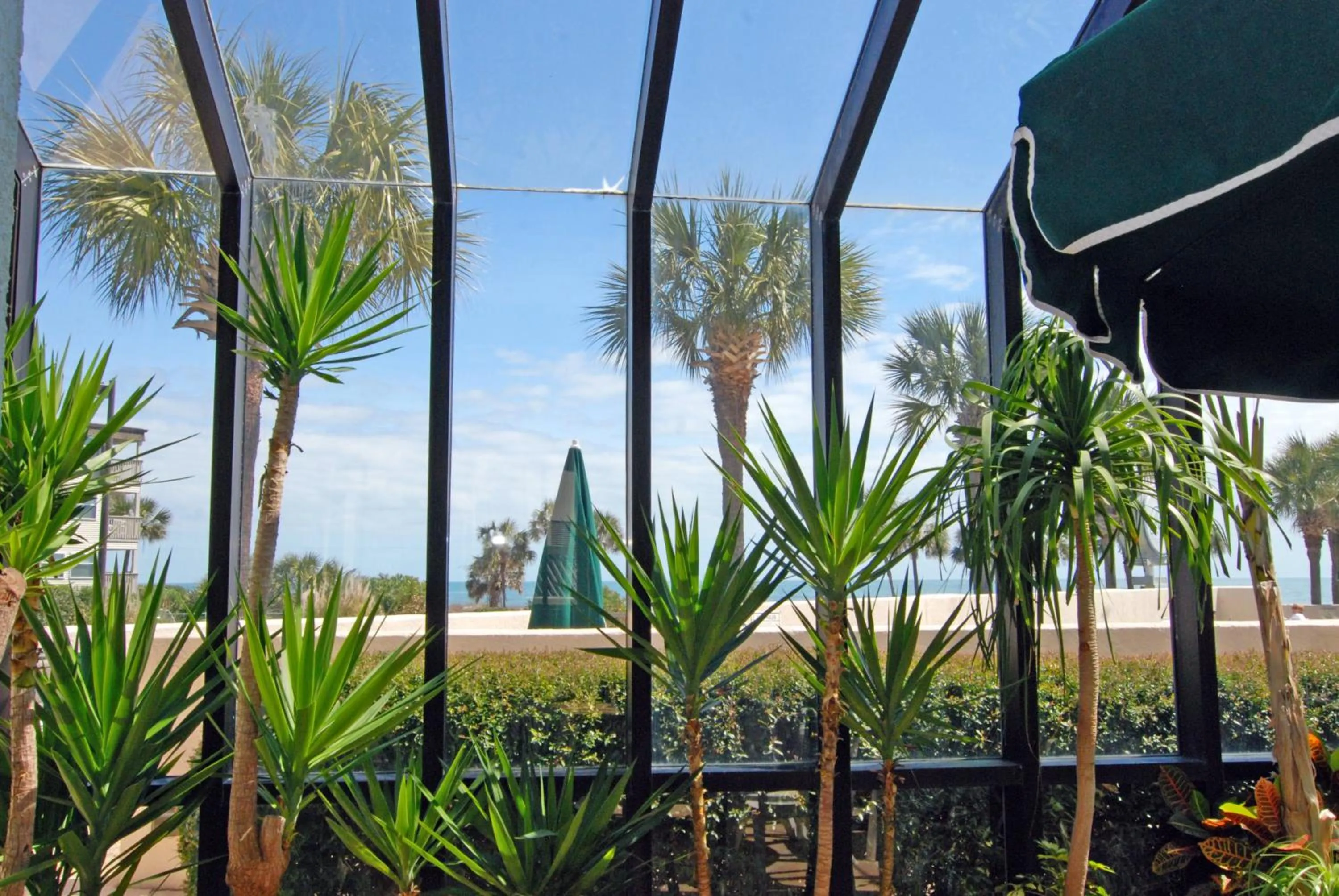 Property building in Ocean Forest Plaza by Palmetto Vacations