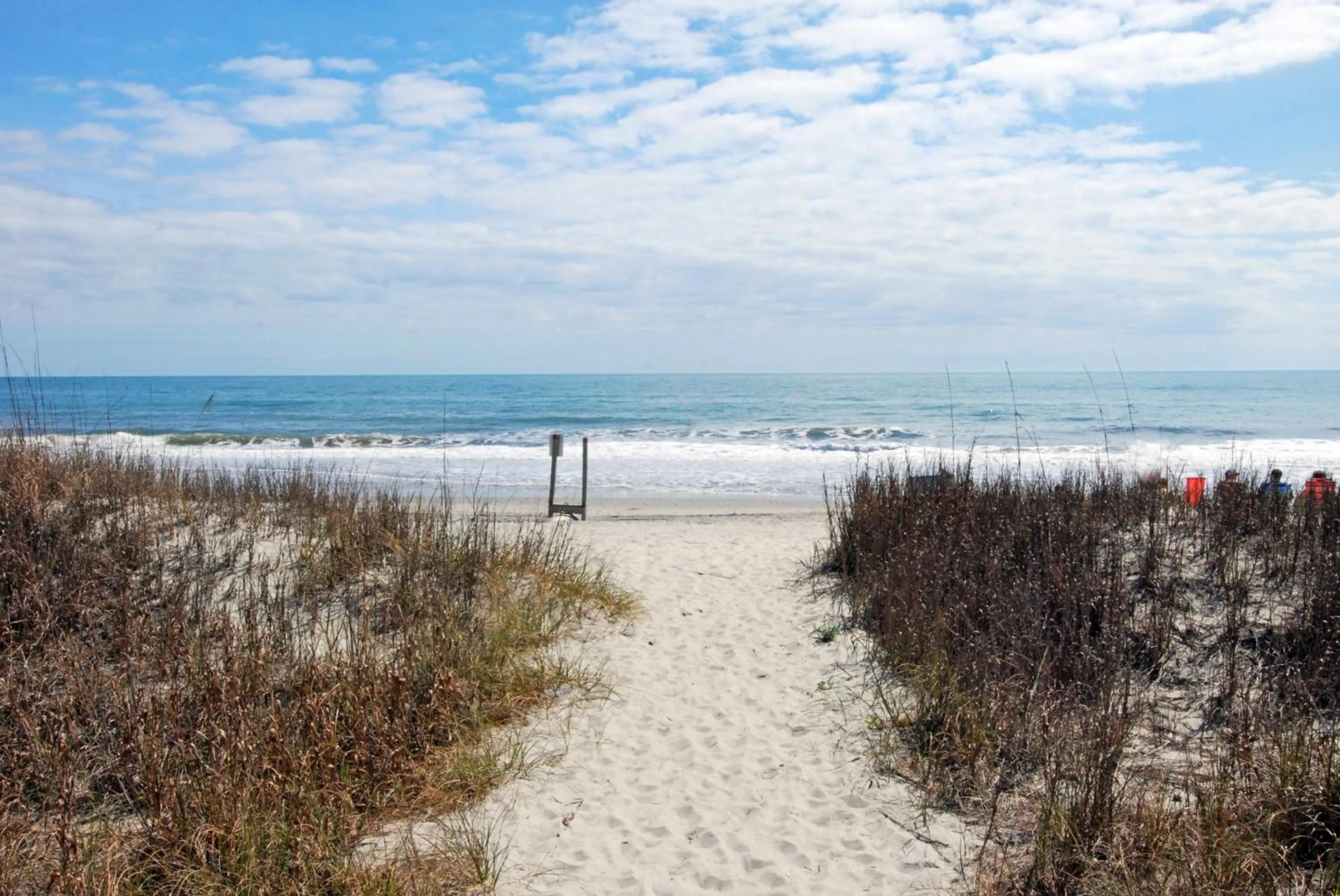 Property building in Ocean Forest Plaza by Palmetto Vacations