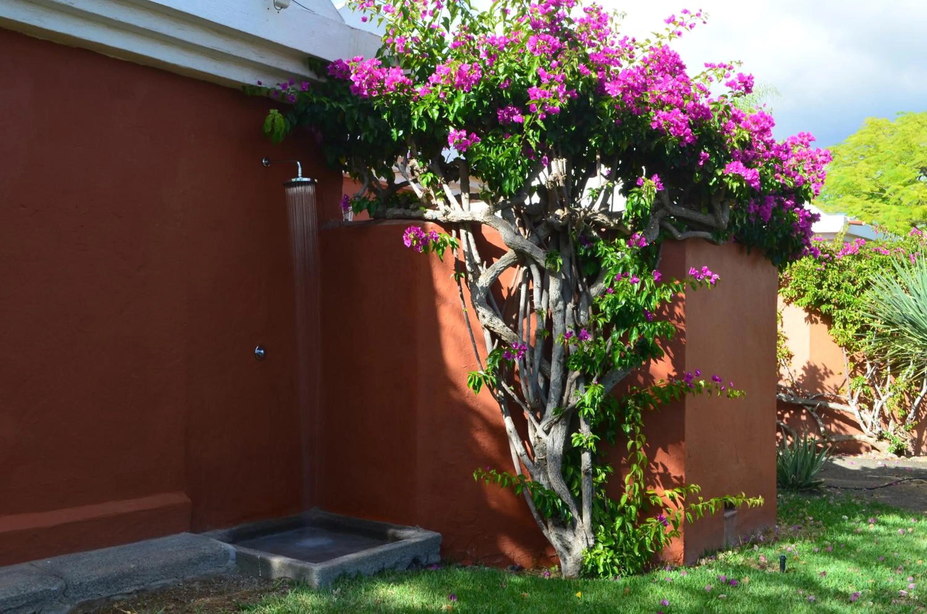 Garden in The Peaches Bungalows 45 & 46