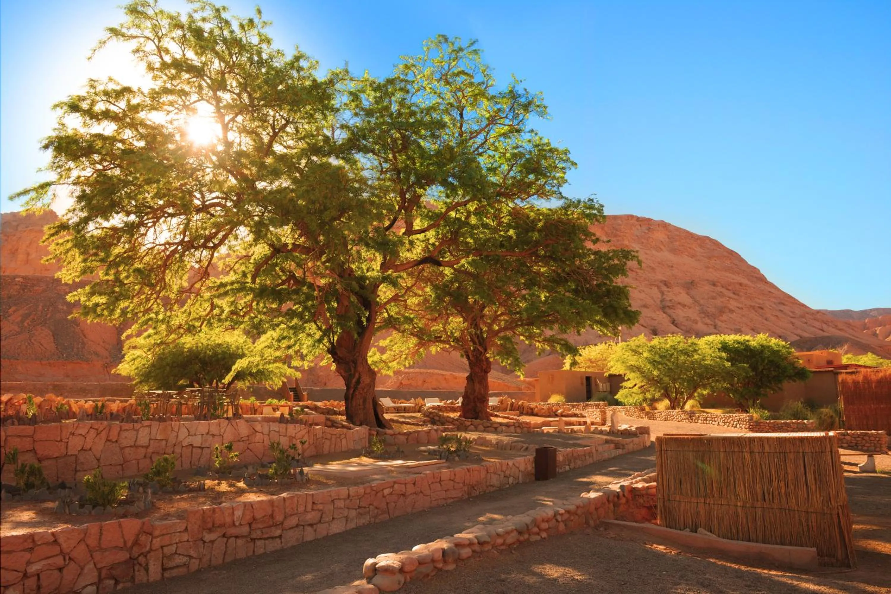 Garden in Nayara Alto Atacama
