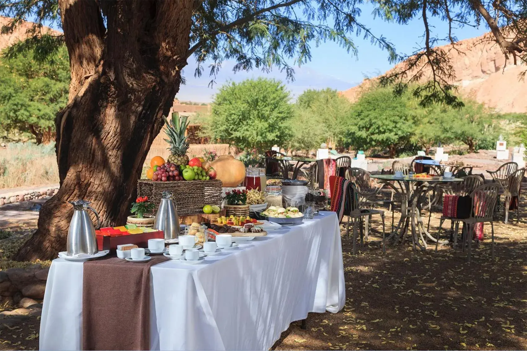 Food in Nayara Alto Atacama Food in Nayara Alto Atacama