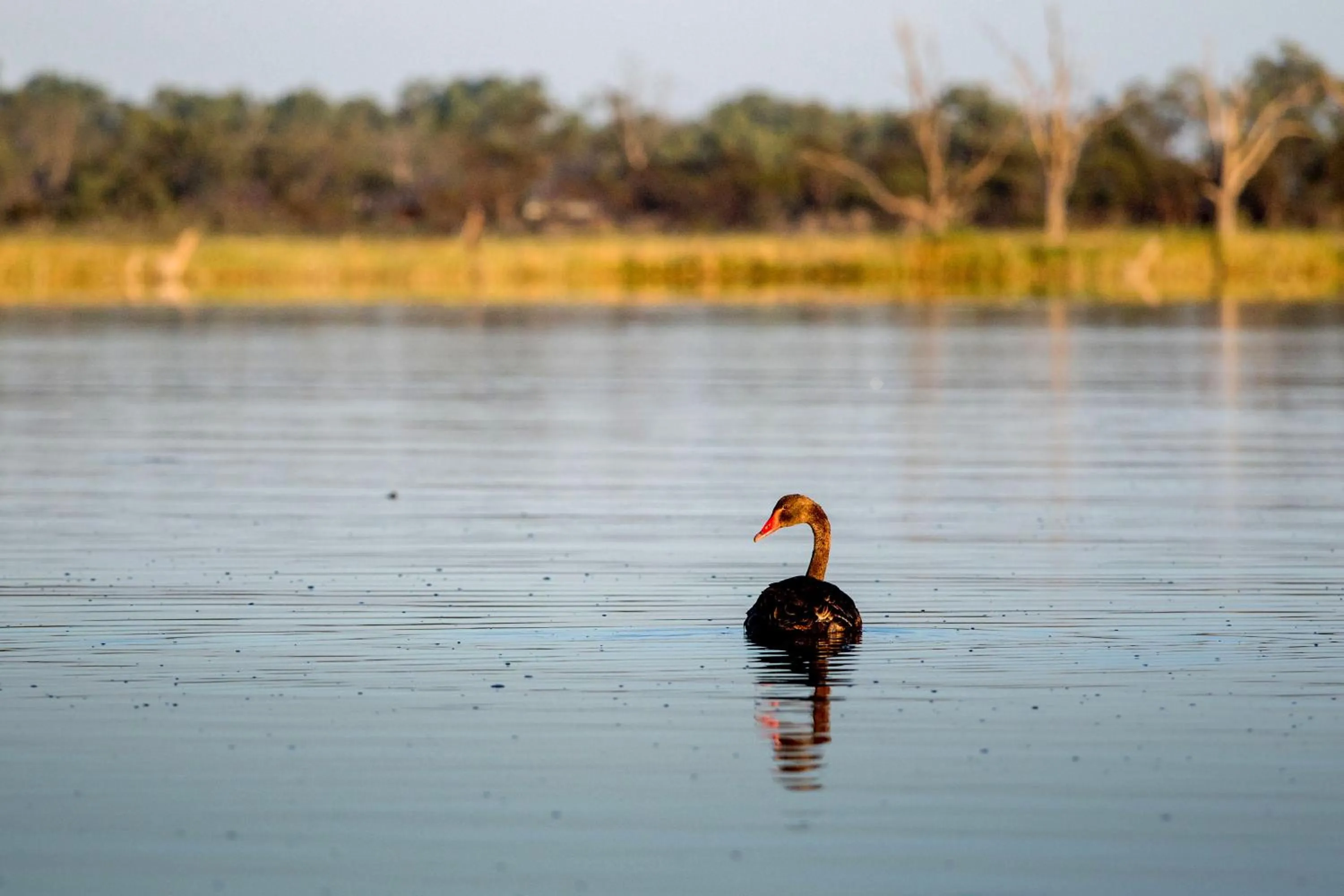 Natural landscape in Discovery Parks - Lake Bonney