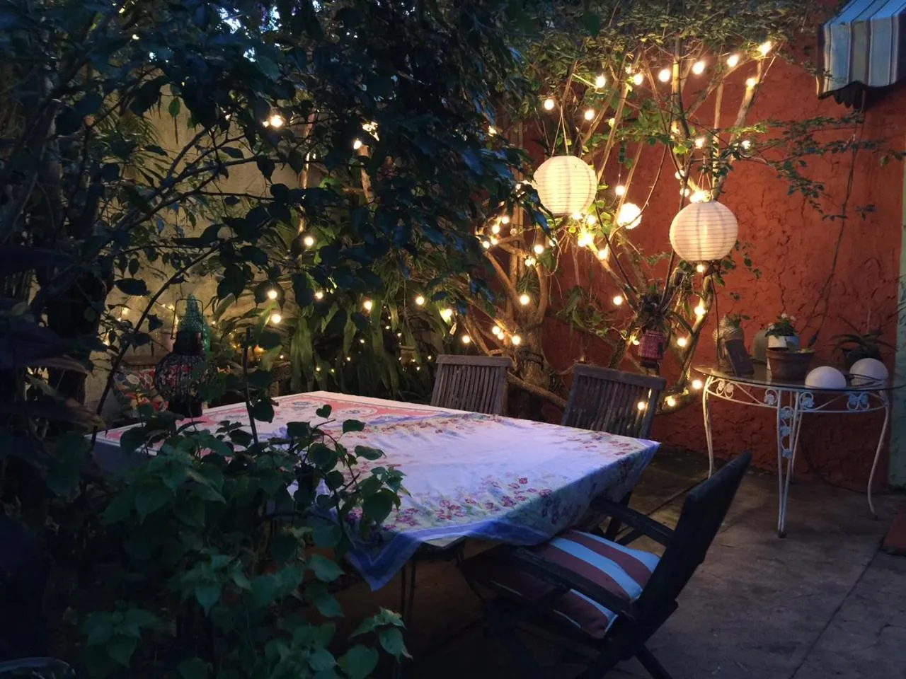 Garden in The Wild Rose