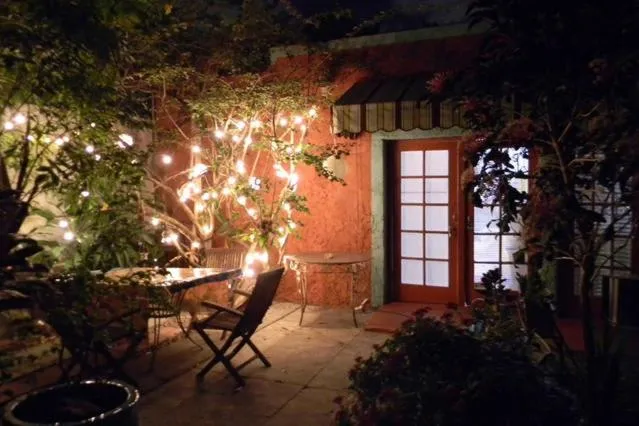 Garden in The Wild Rose