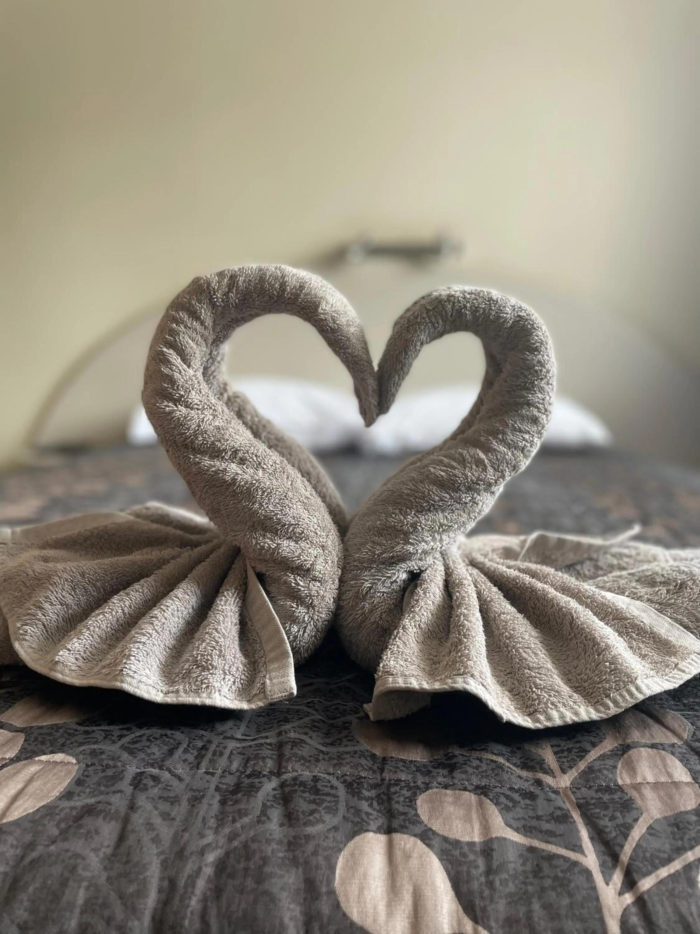 towels, Bed in Alexandra Motor Lodge NZ