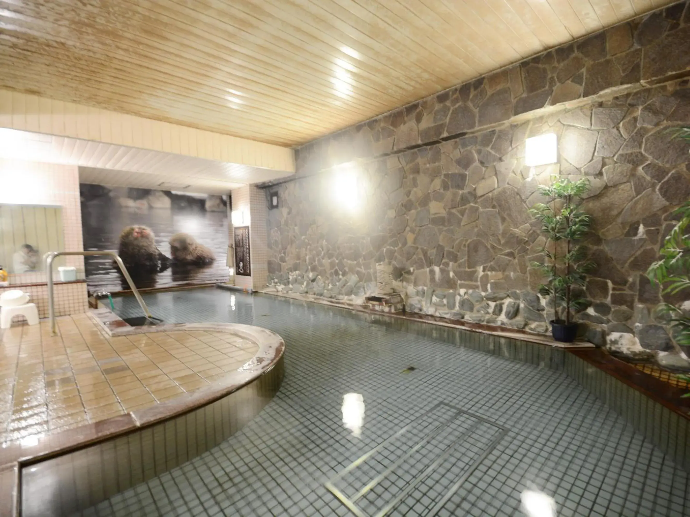 Hot Spring Bath in Hotel Hoshikawakan