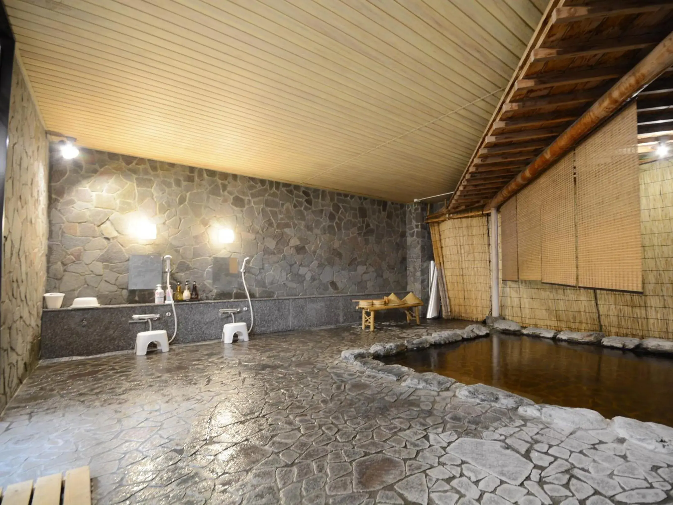 Hot Spring Bath, Bathroom in Hotel Hoshikawakan