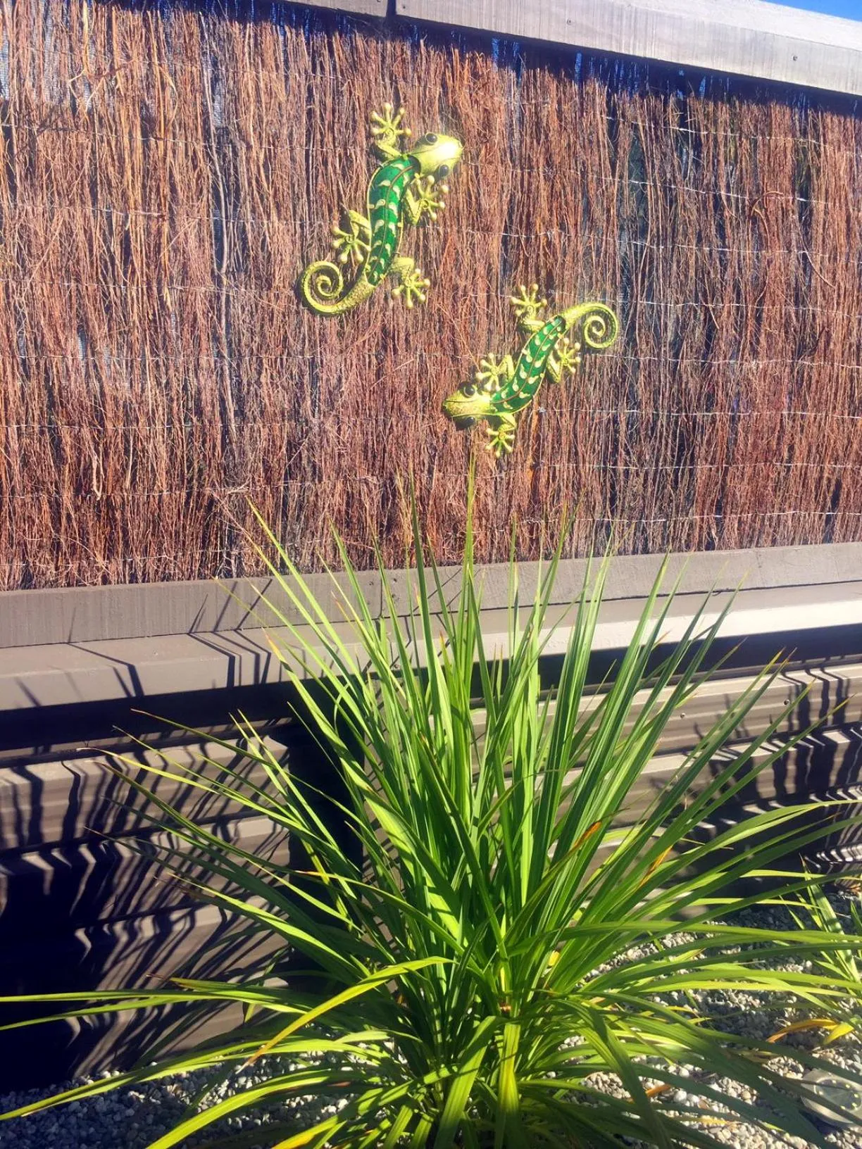 View (from property/room) in Almond Court Motel