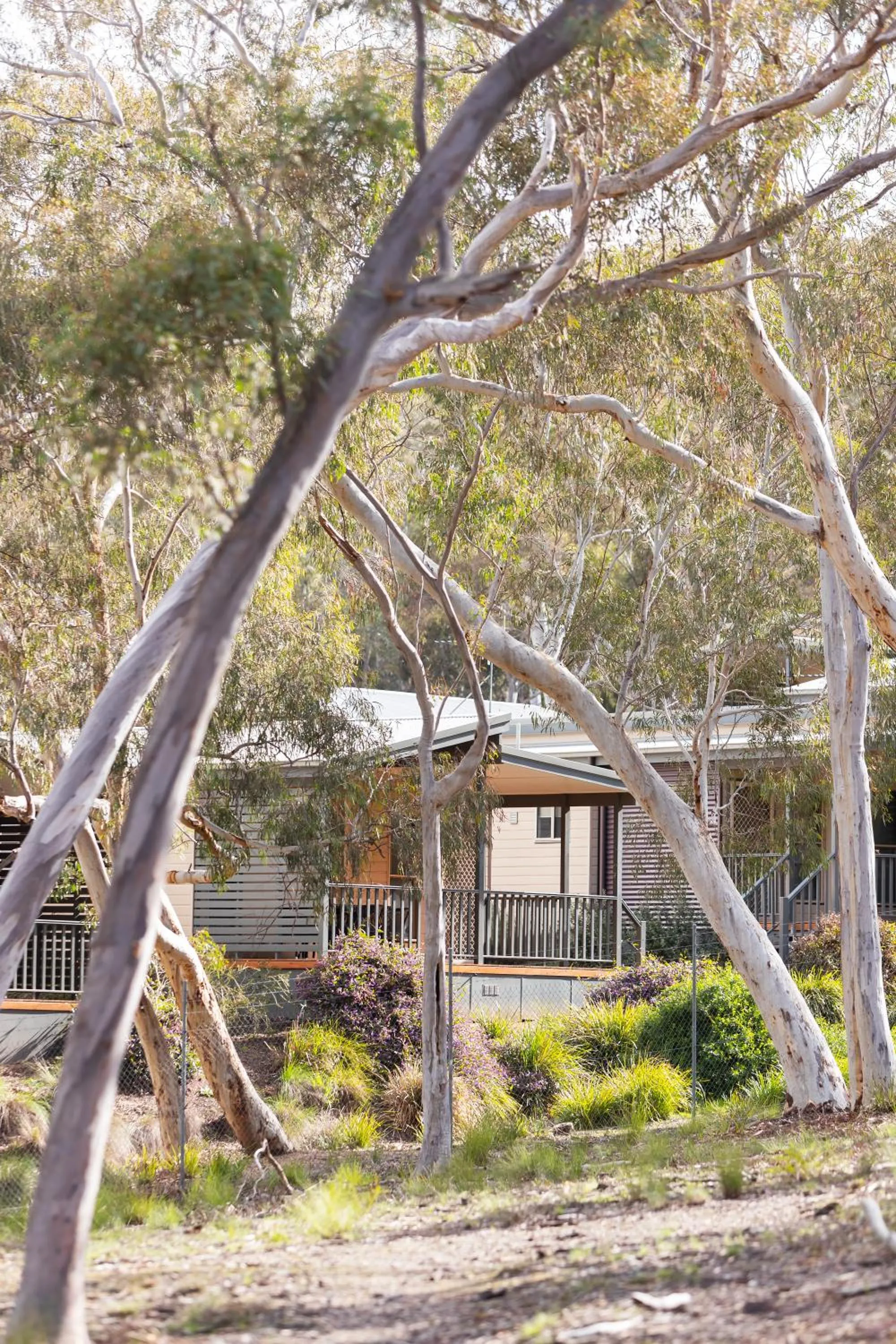 Natural landscape in Alivio Tourist Park Canberra