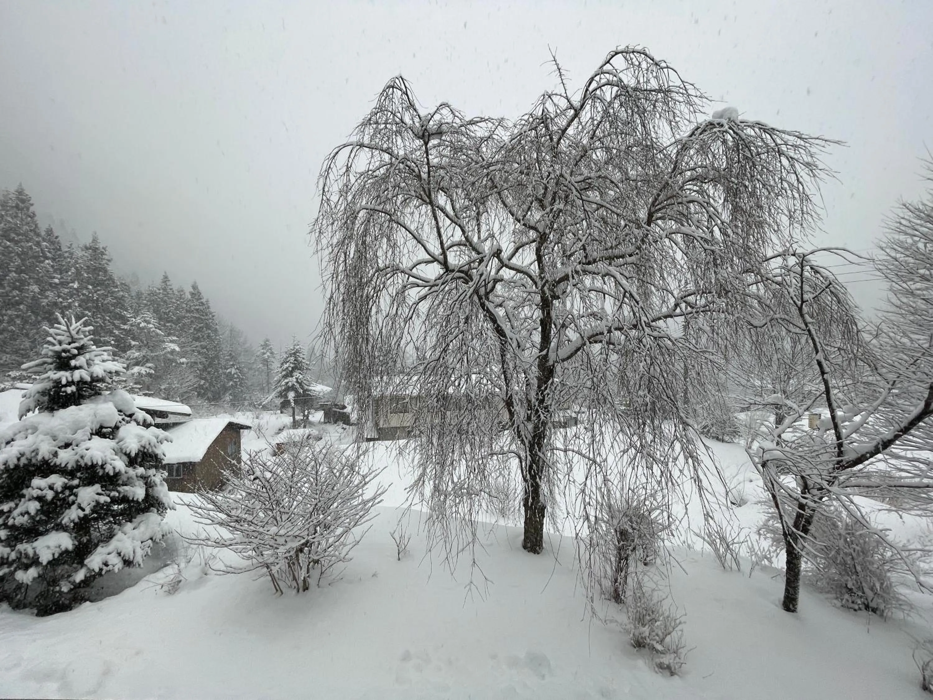 Natural landscape in Suisensou