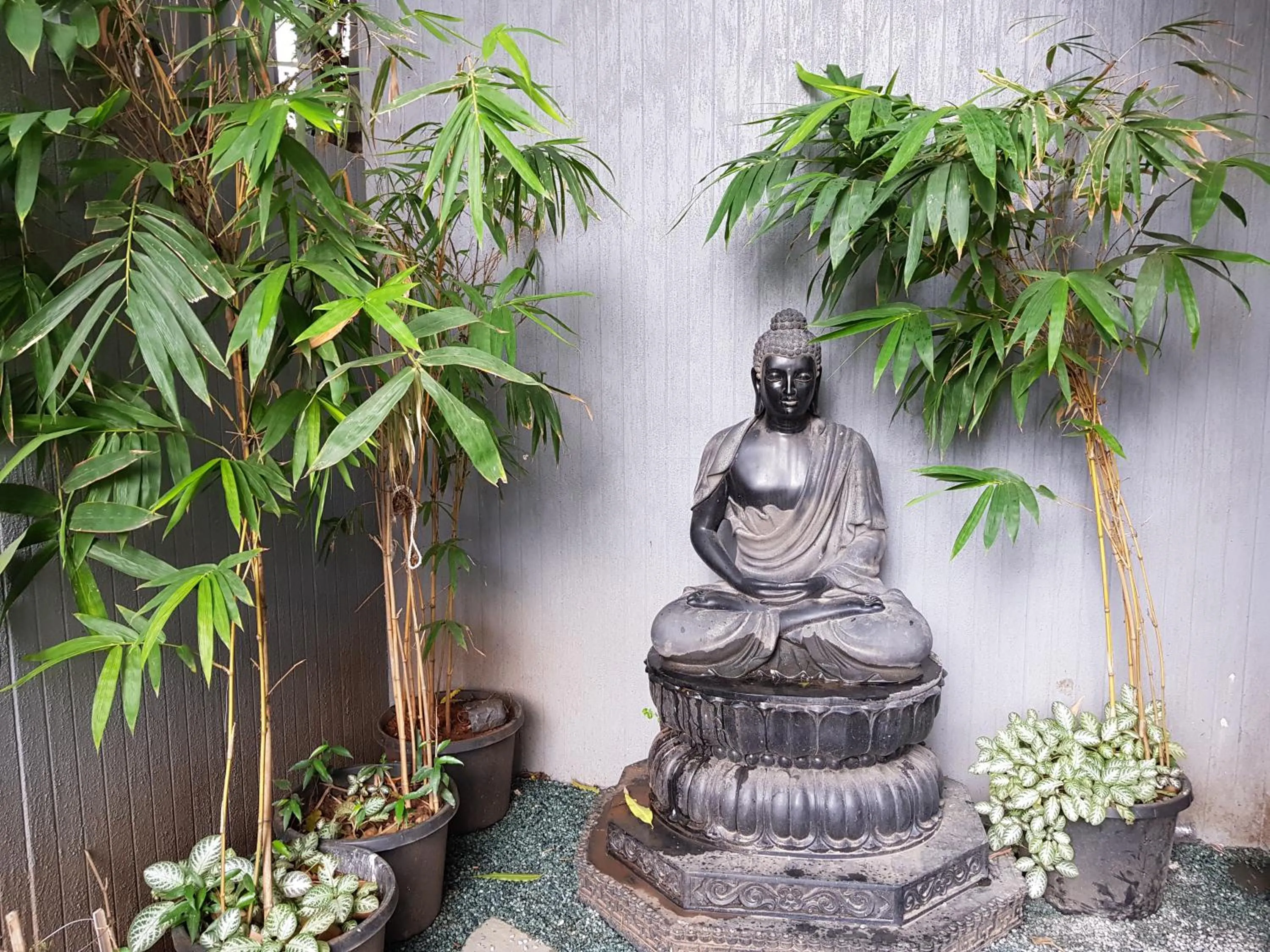 Decorative detail in Dragonfly Hotel - The Art Hotel