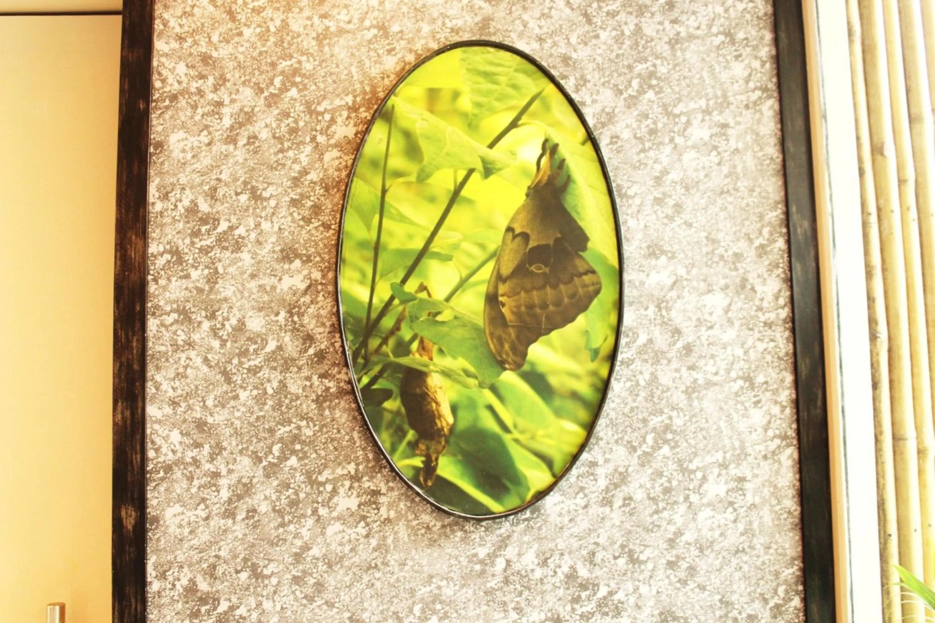 Day in Dragonfly Hotel - The Art Hotel