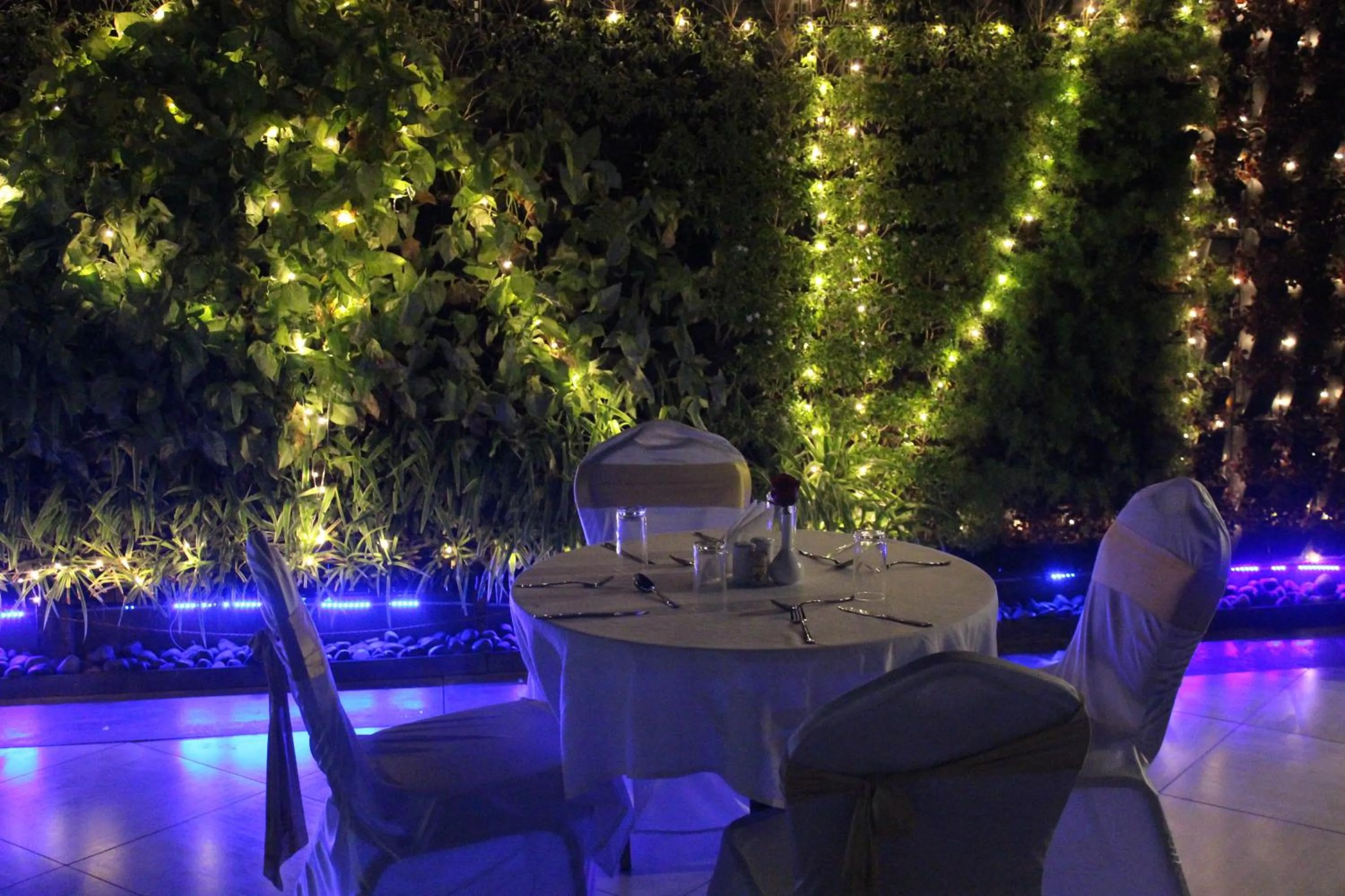 Restaurant/places to eat in Dragonfly Hotel - The Art Hotel