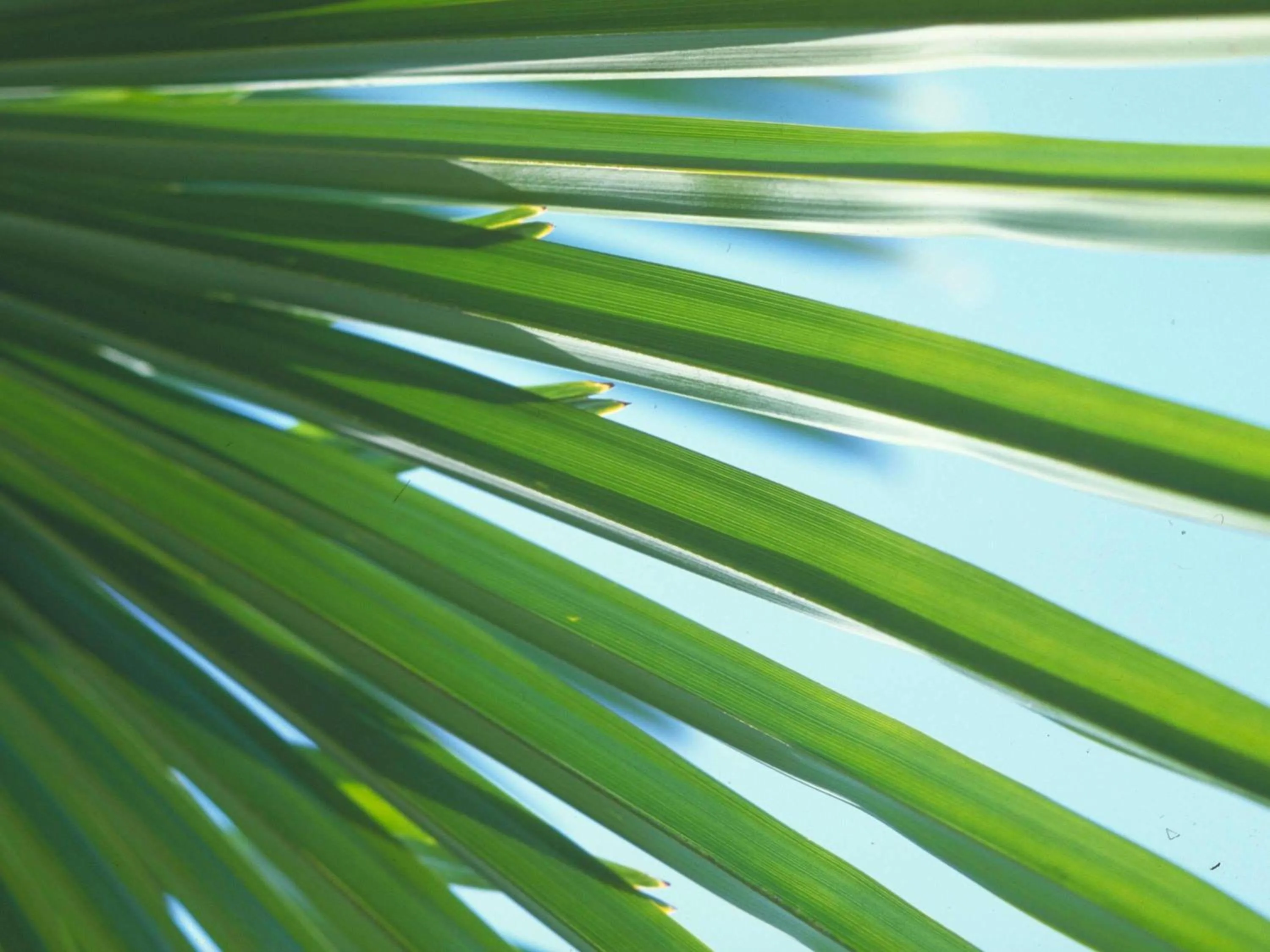 Bedroom in Novotel Setubal