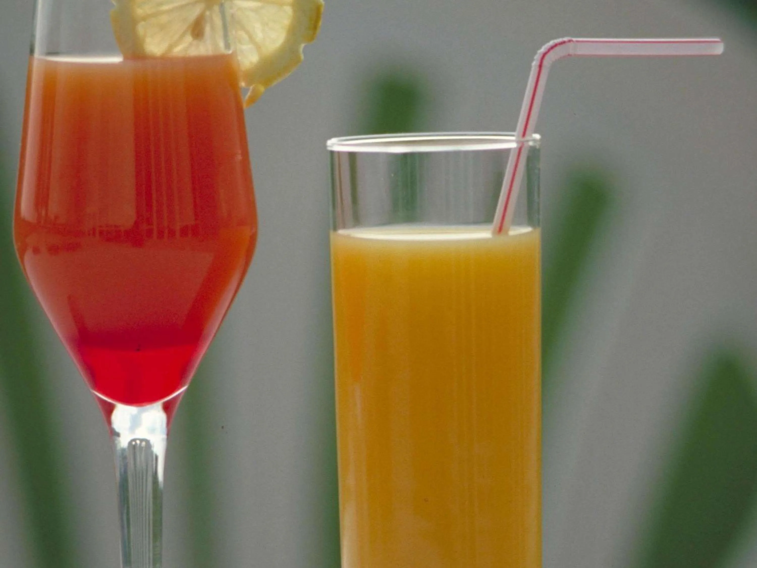 Lounge or bar in Novotel Setubal