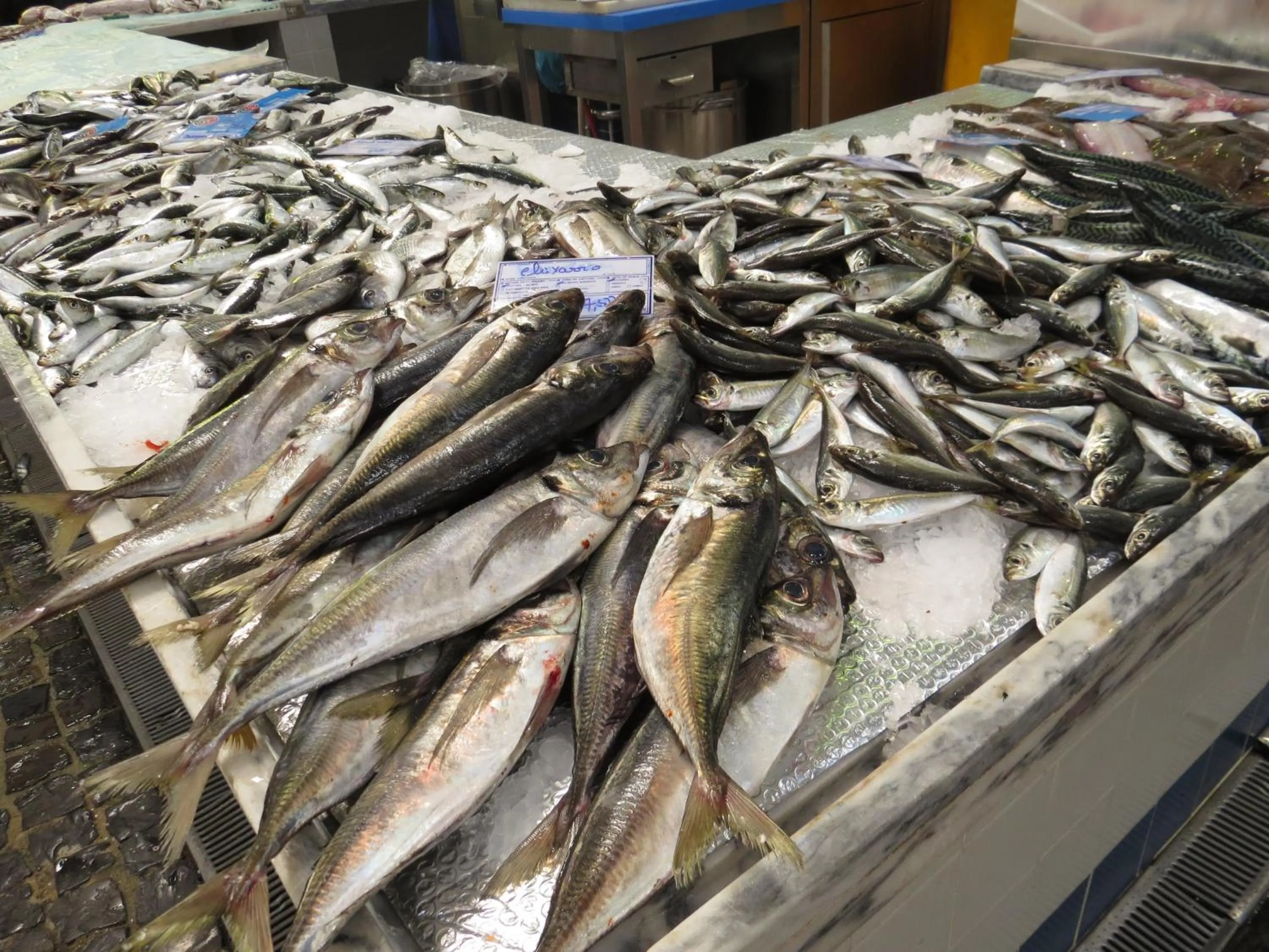 Shopping Area in Novotel Setubal