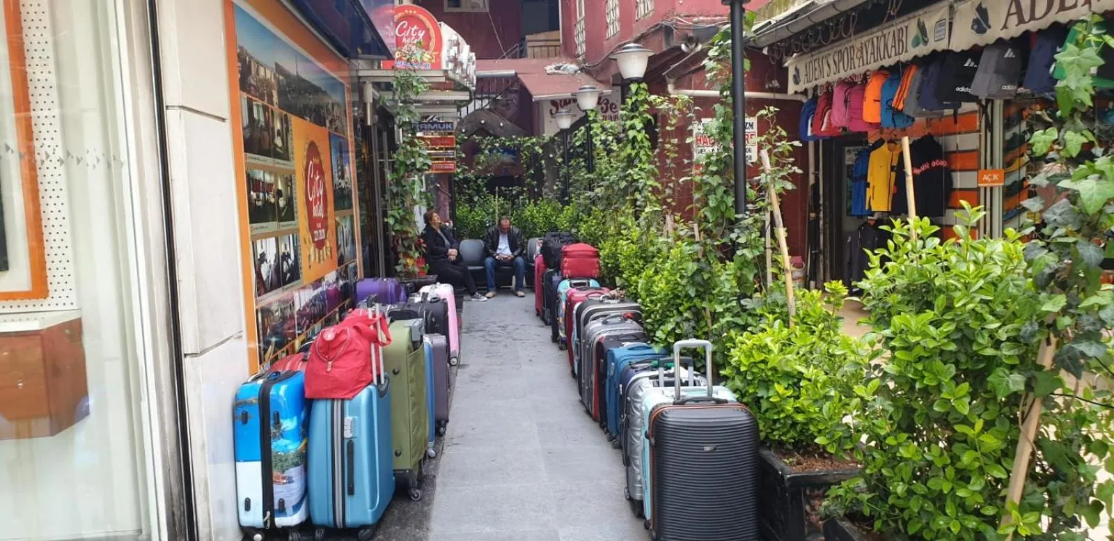 Garden in Pamuk City Hotel