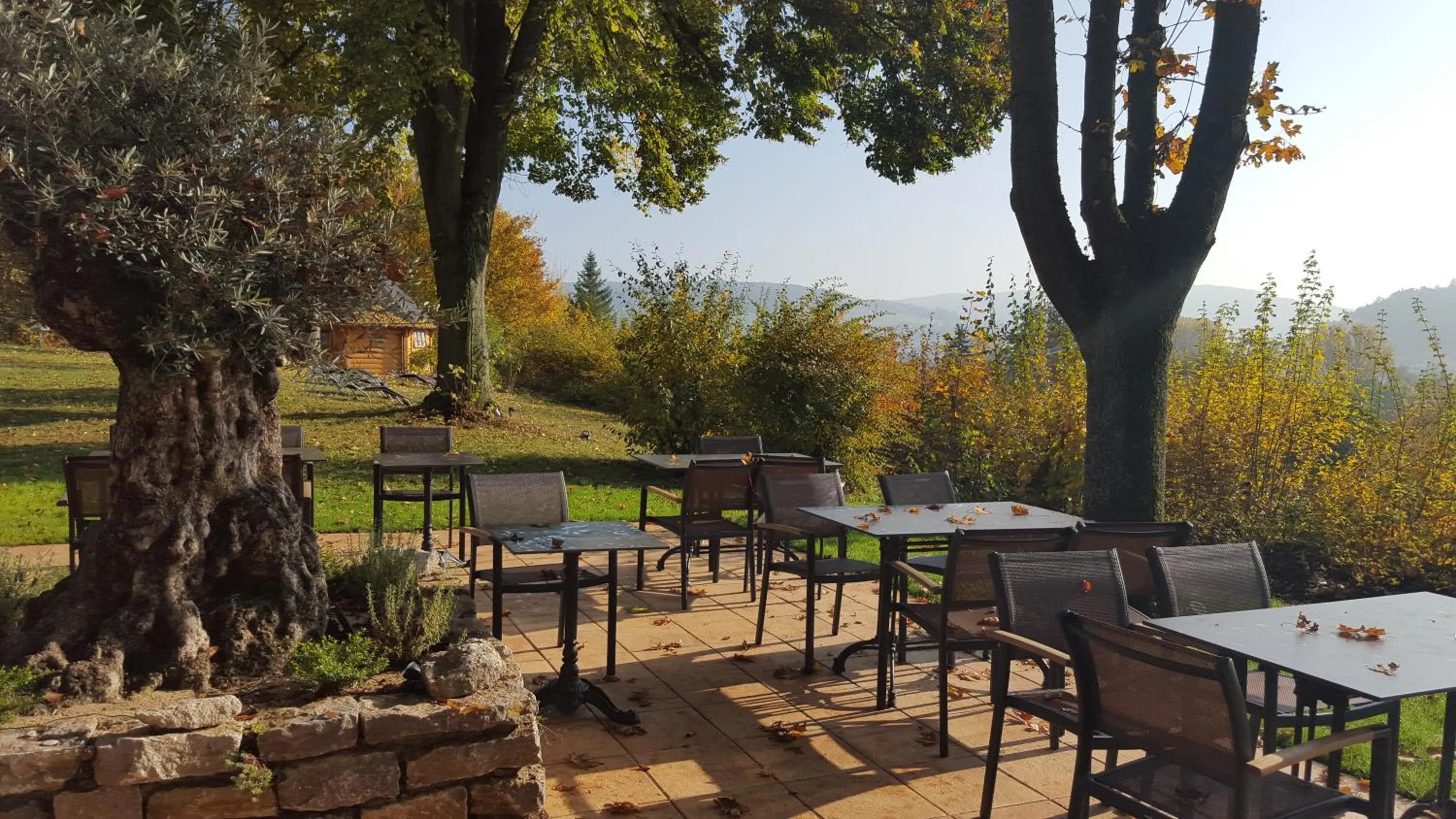 Property building in Vitalhotel König am Park