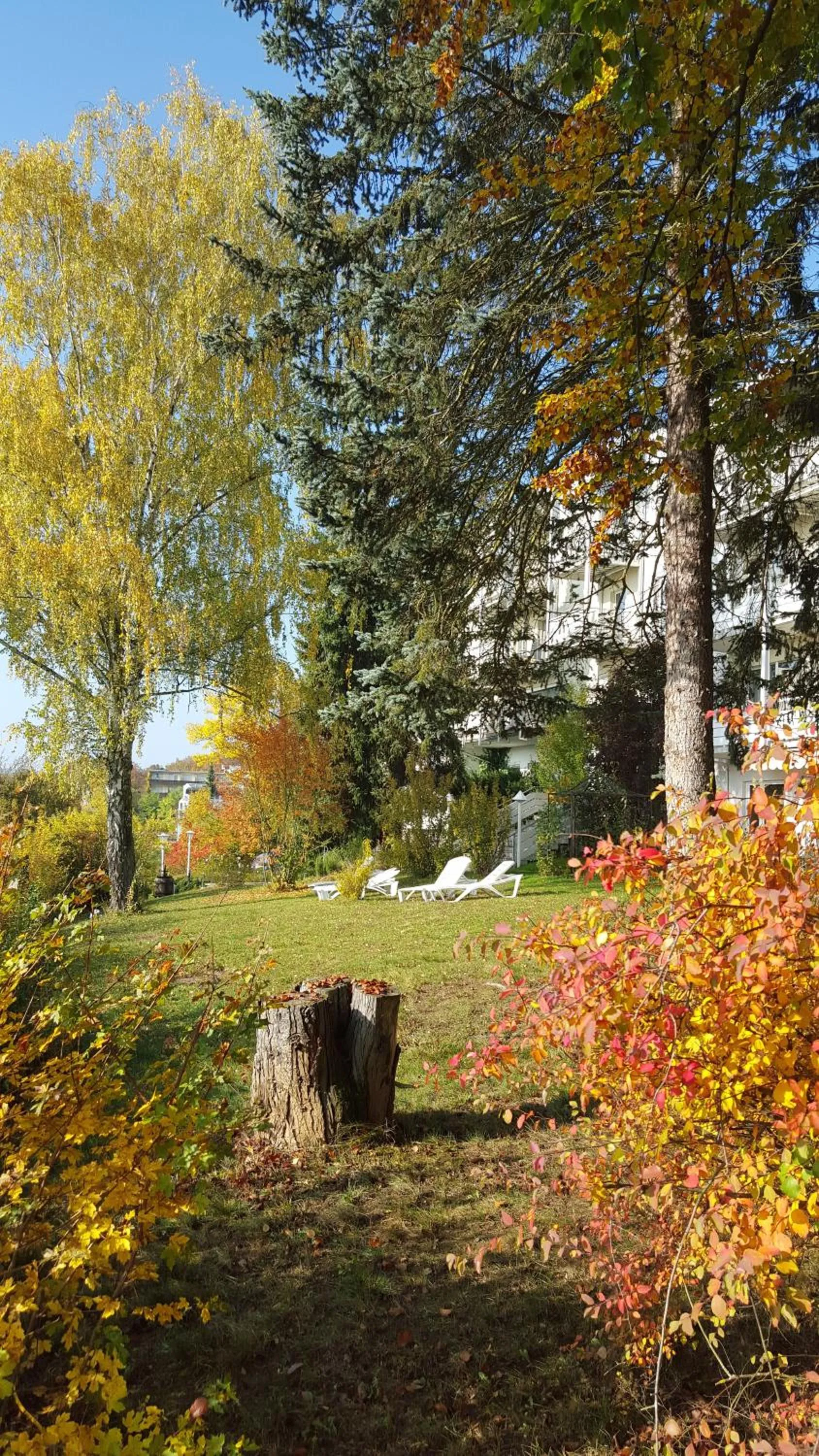 Property building in Vitalhotel König am Park