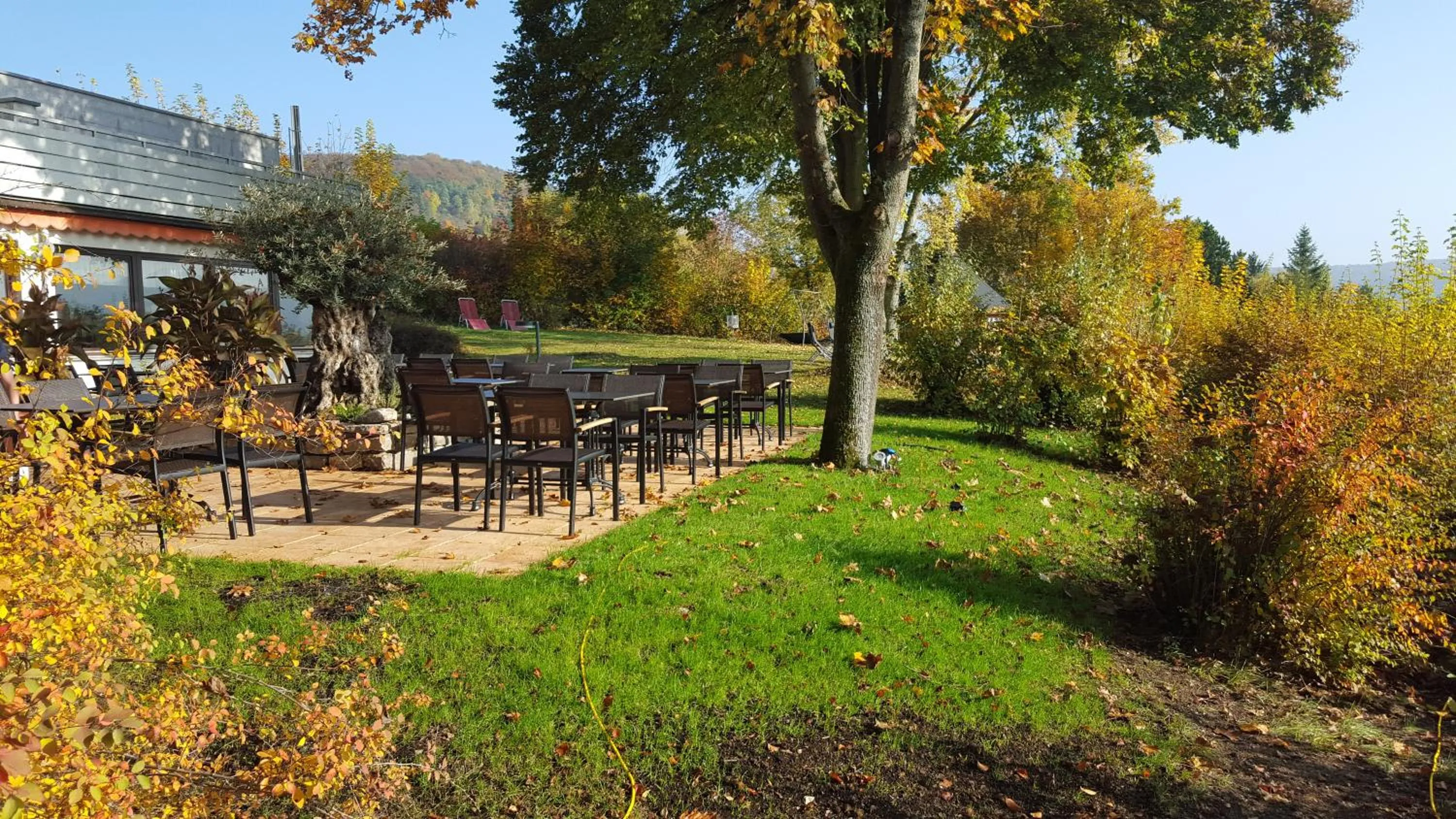 Property building in Vitalhotel König am Park