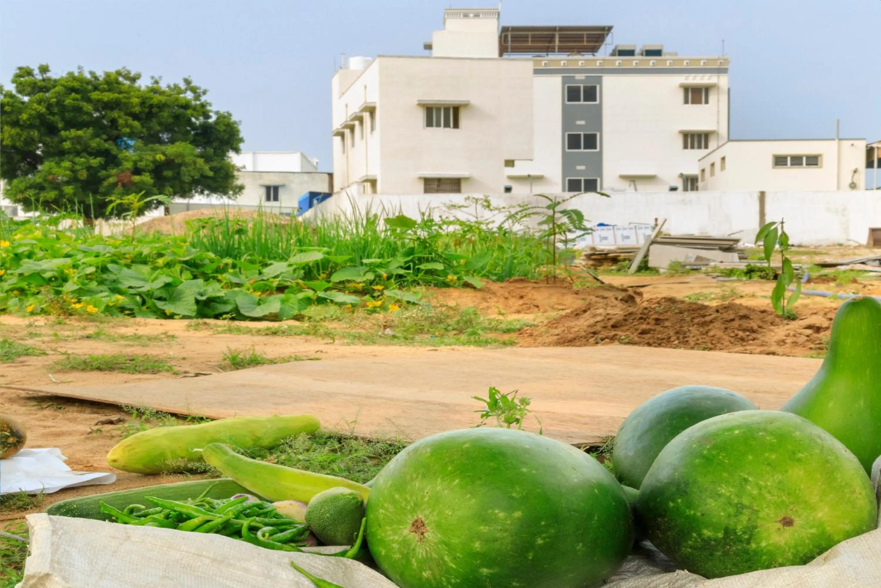 Garden in Hotel ARJUNAA