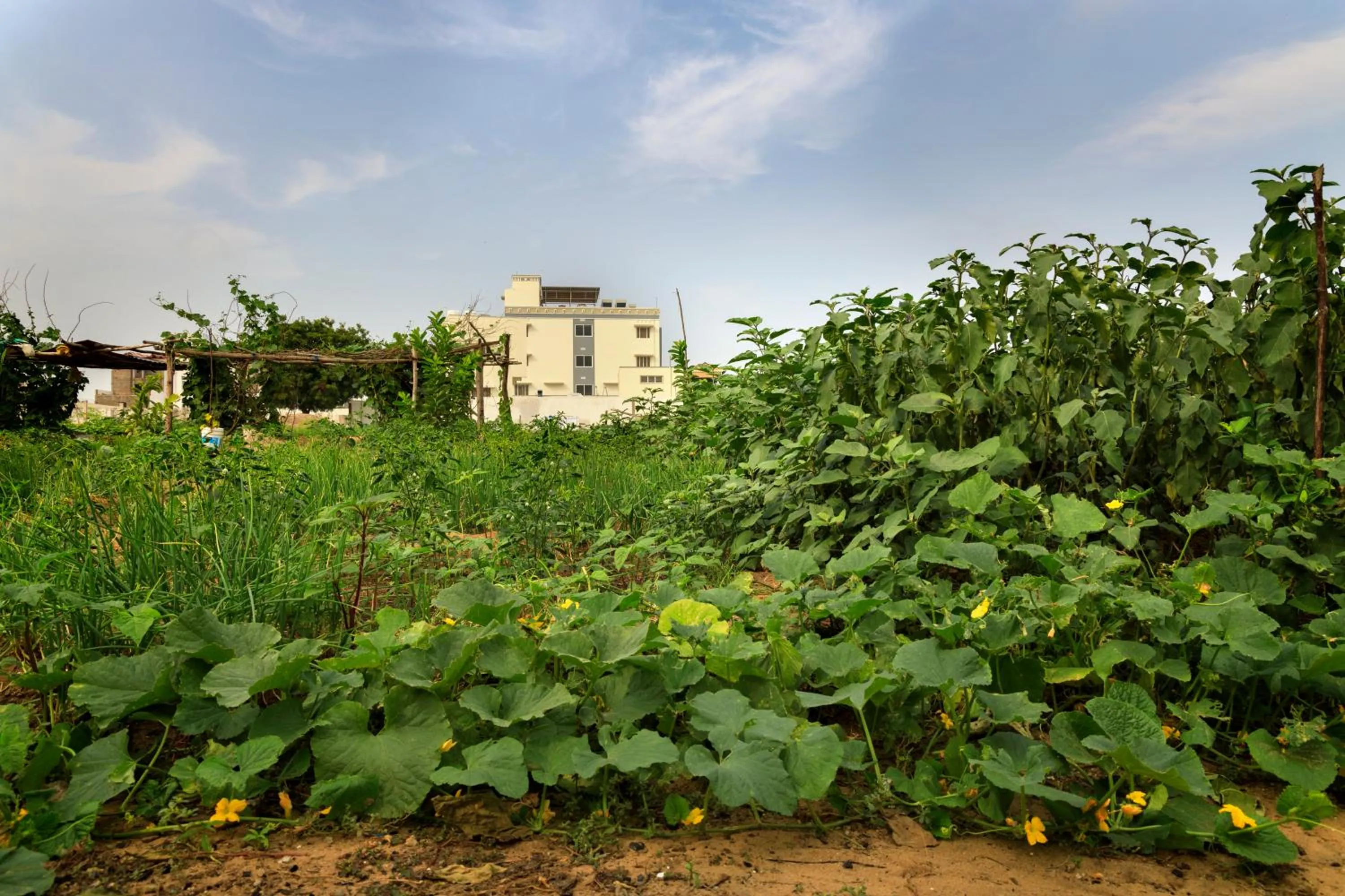 Garden in Hotel ARJUNAA