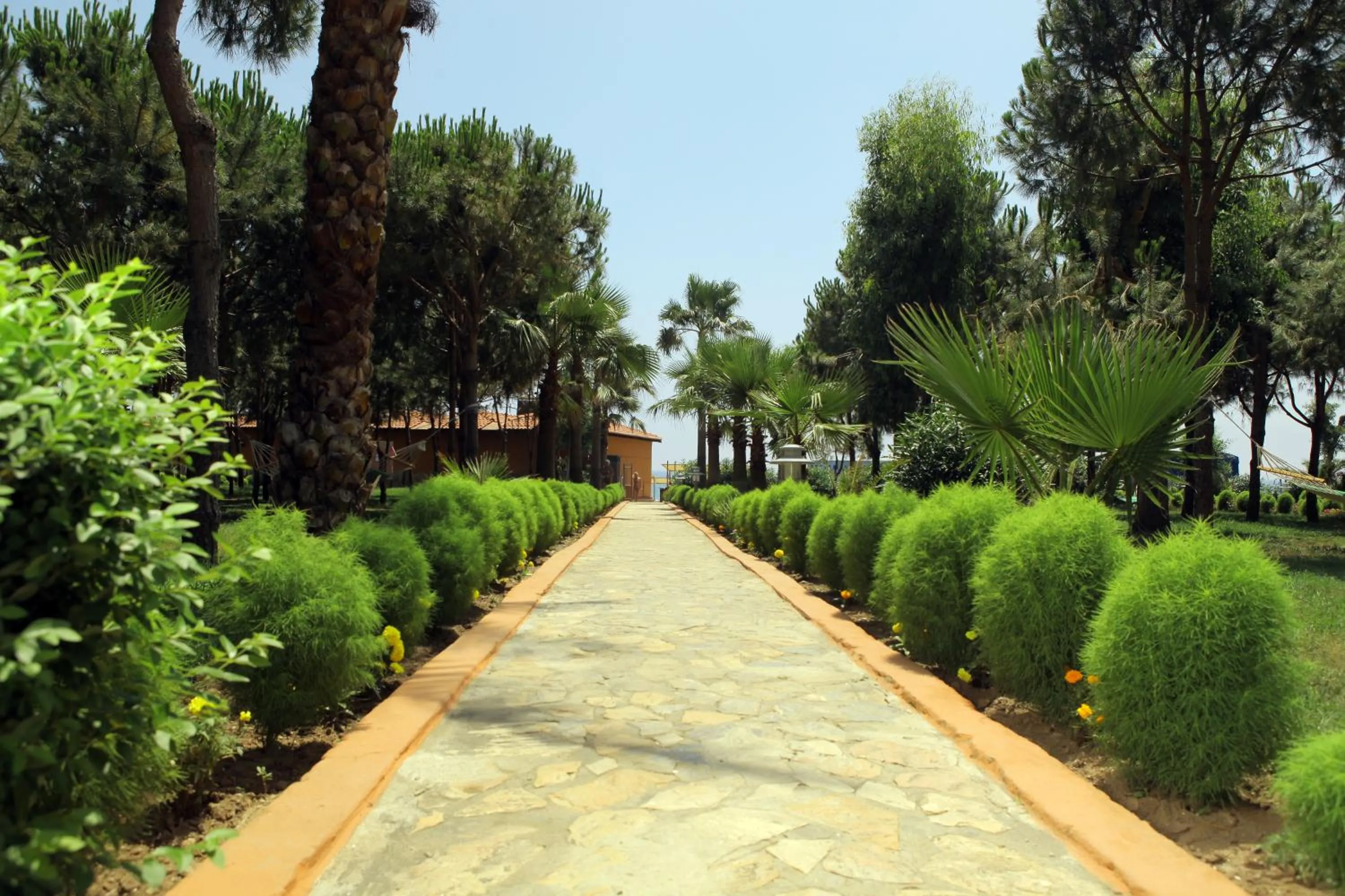 Day in Club Turtas Beach - All Inclusive