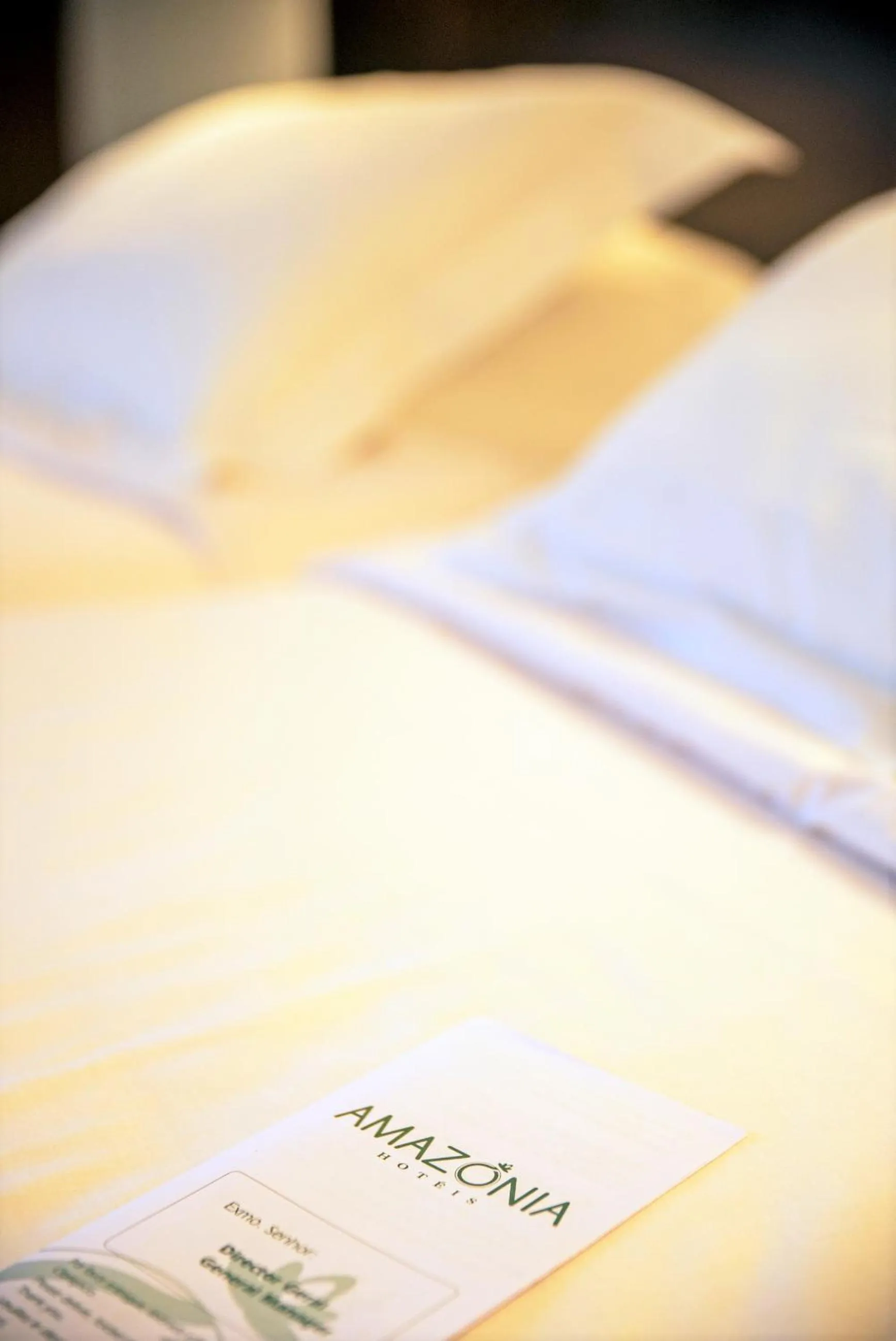 Decorative detail, Bed in Amazonia Jamor Hotel