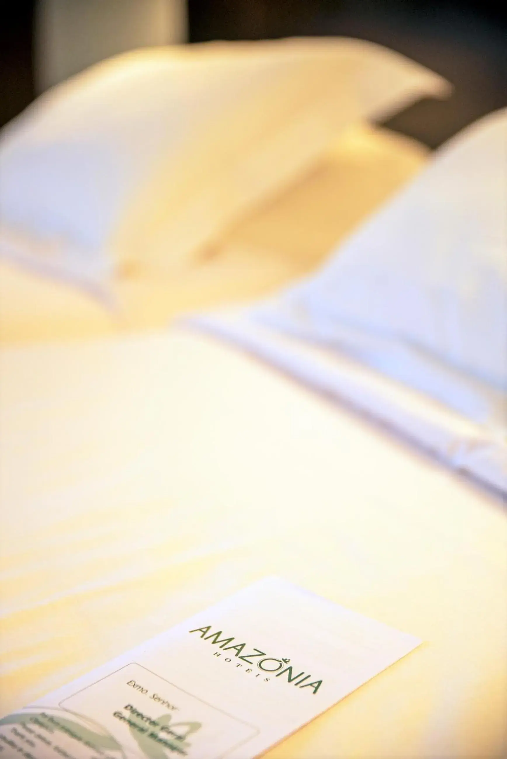 Decorative detail, Bed in Amazonia Jamor Hotel Decorative detail, Bed in Amazonia Jamor Hotel