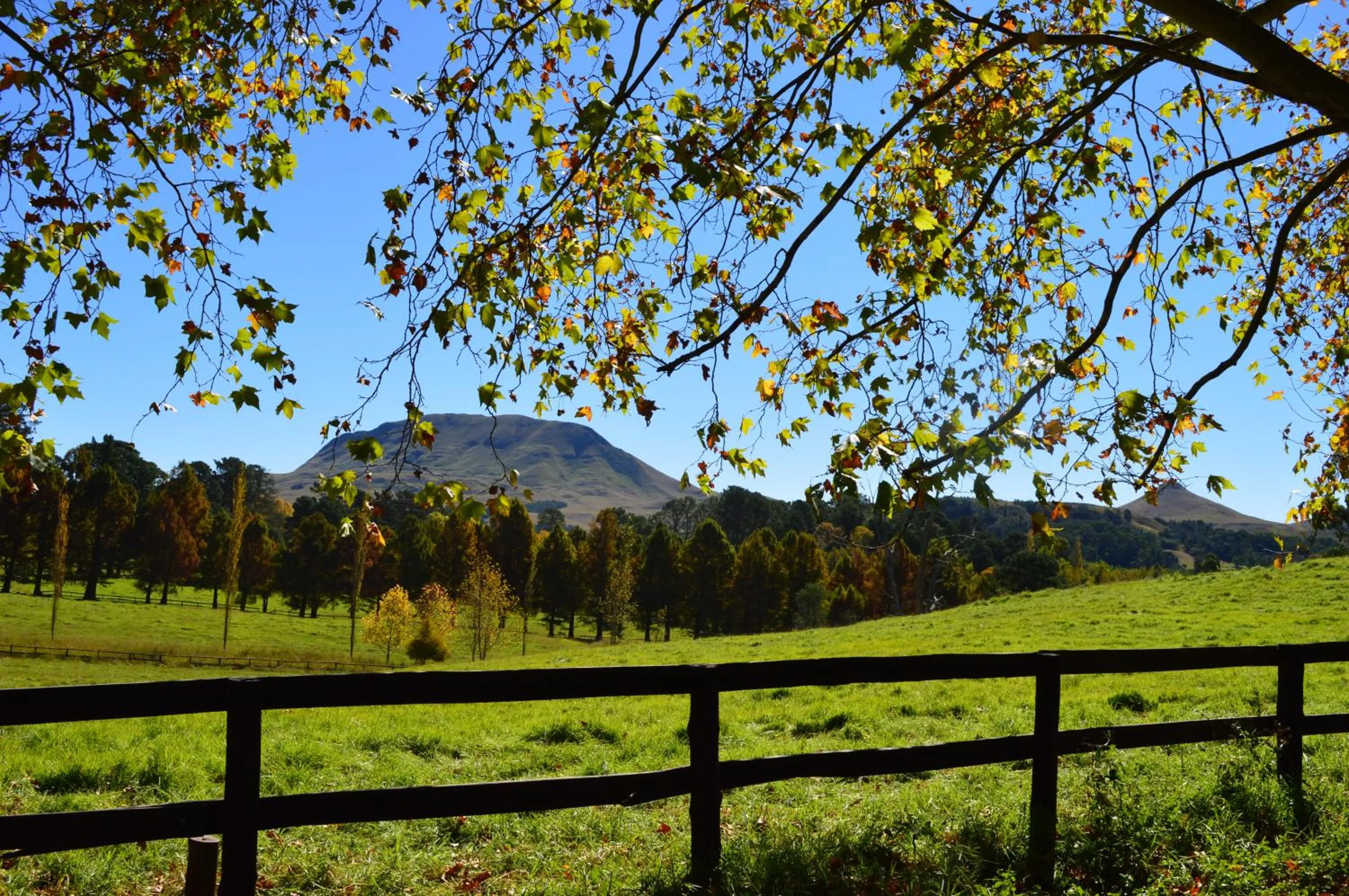 Summer in Invermooi Estate