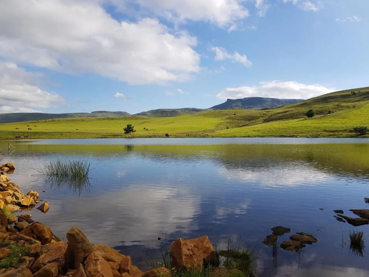 Invermooi Estate